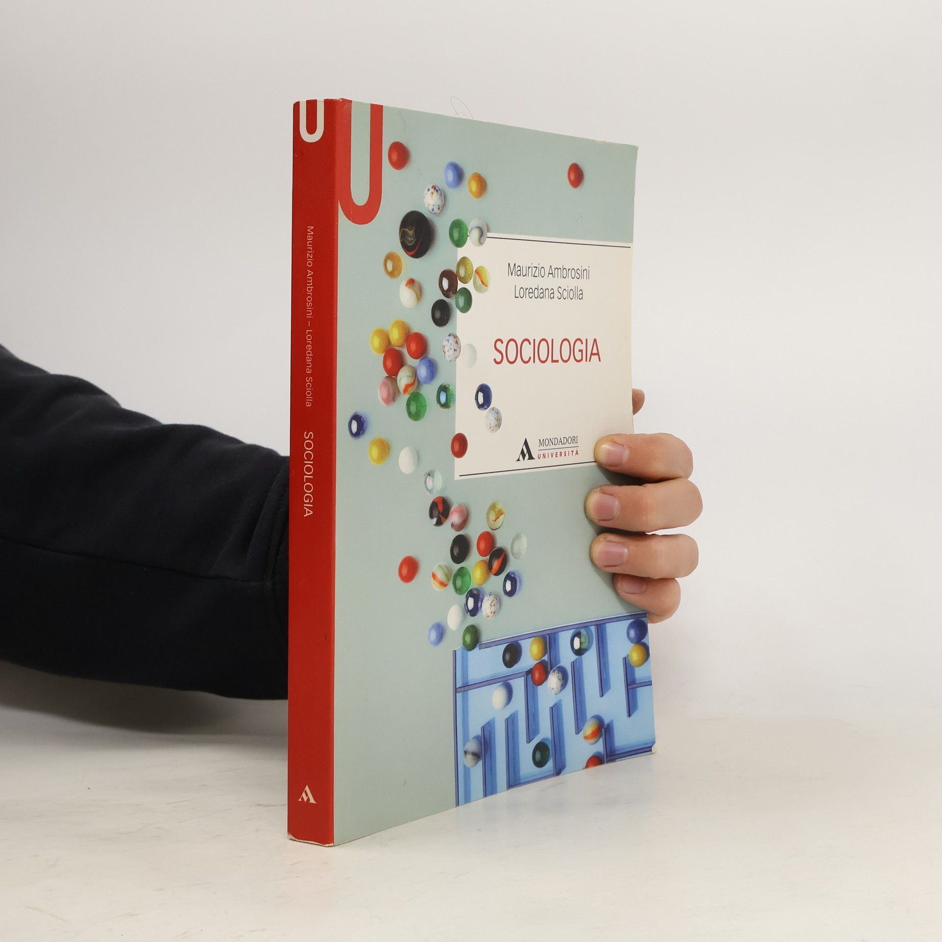 Maurizio Ambrosini Sociologia