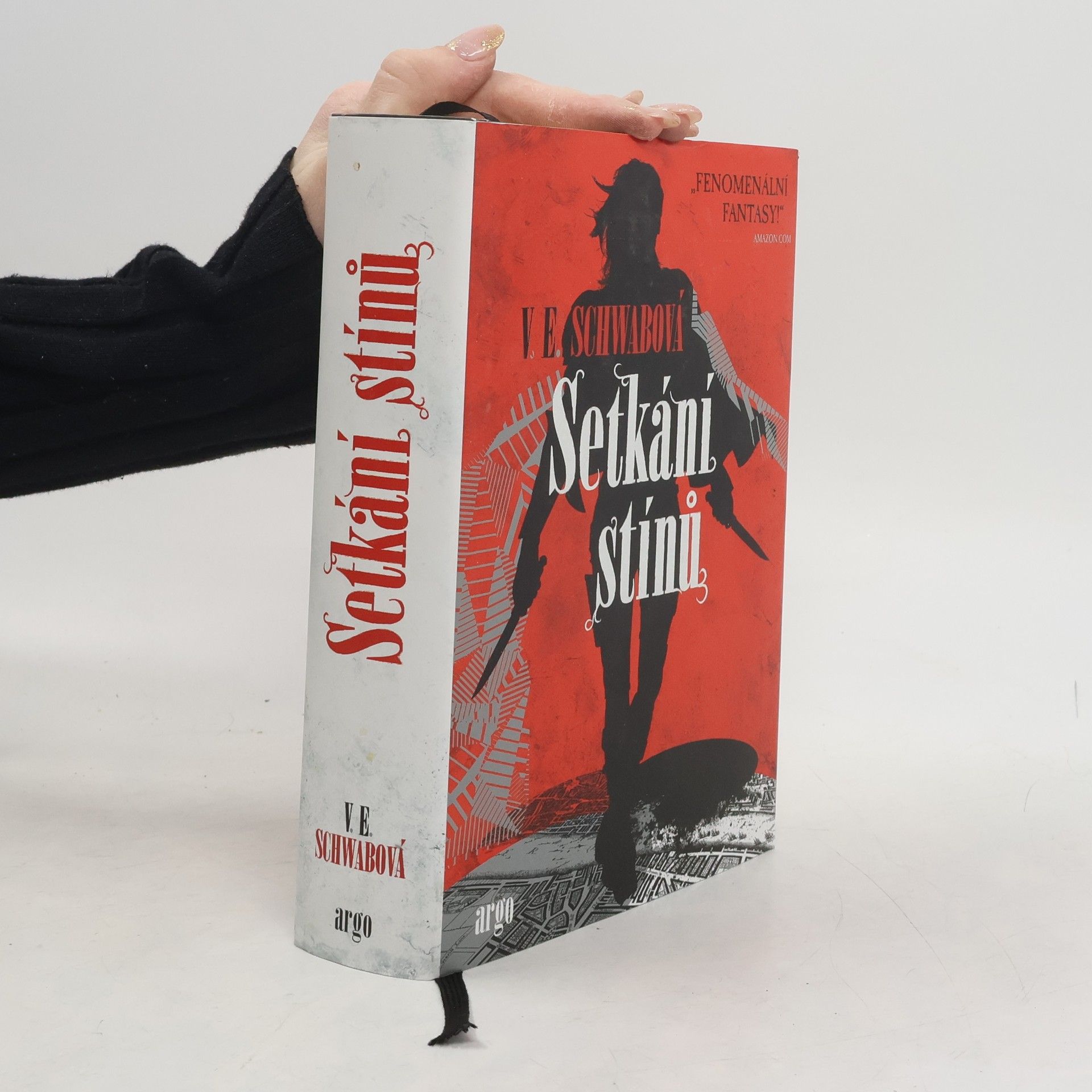 V. E. Schwab Setkání stínů
