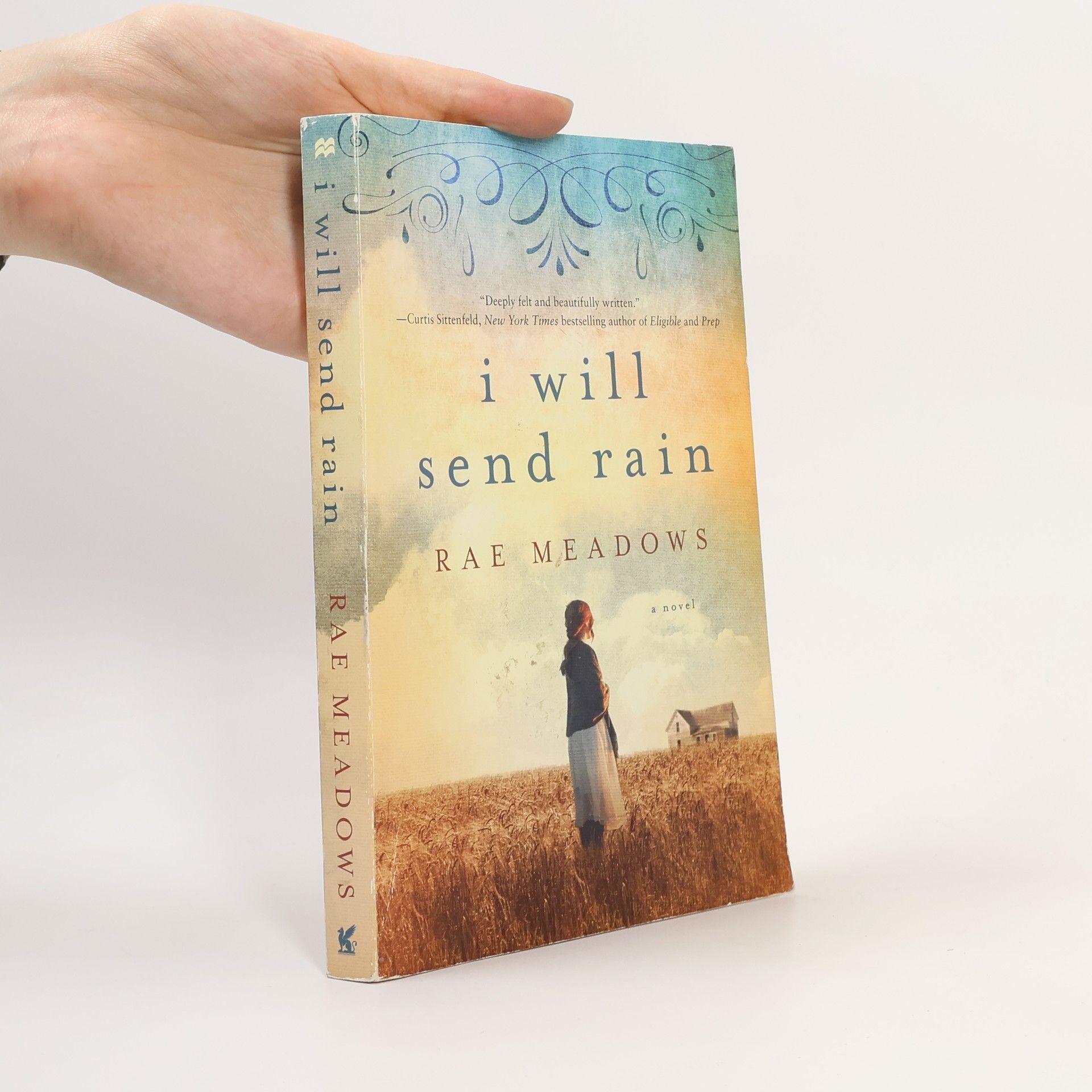 Rae Meadows I Will Send Rain