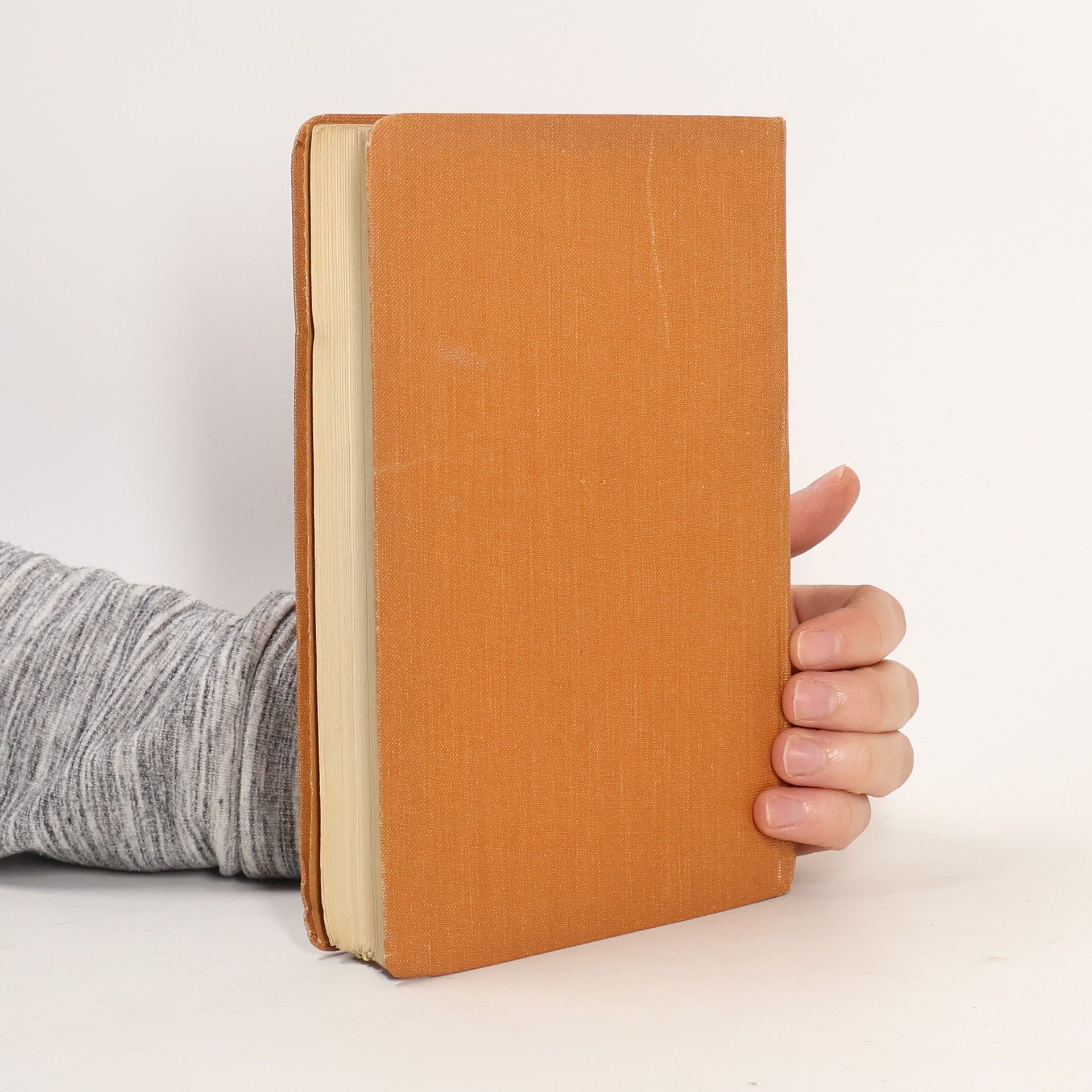 Nikolaus Lenau Ein Kampf ums licht
