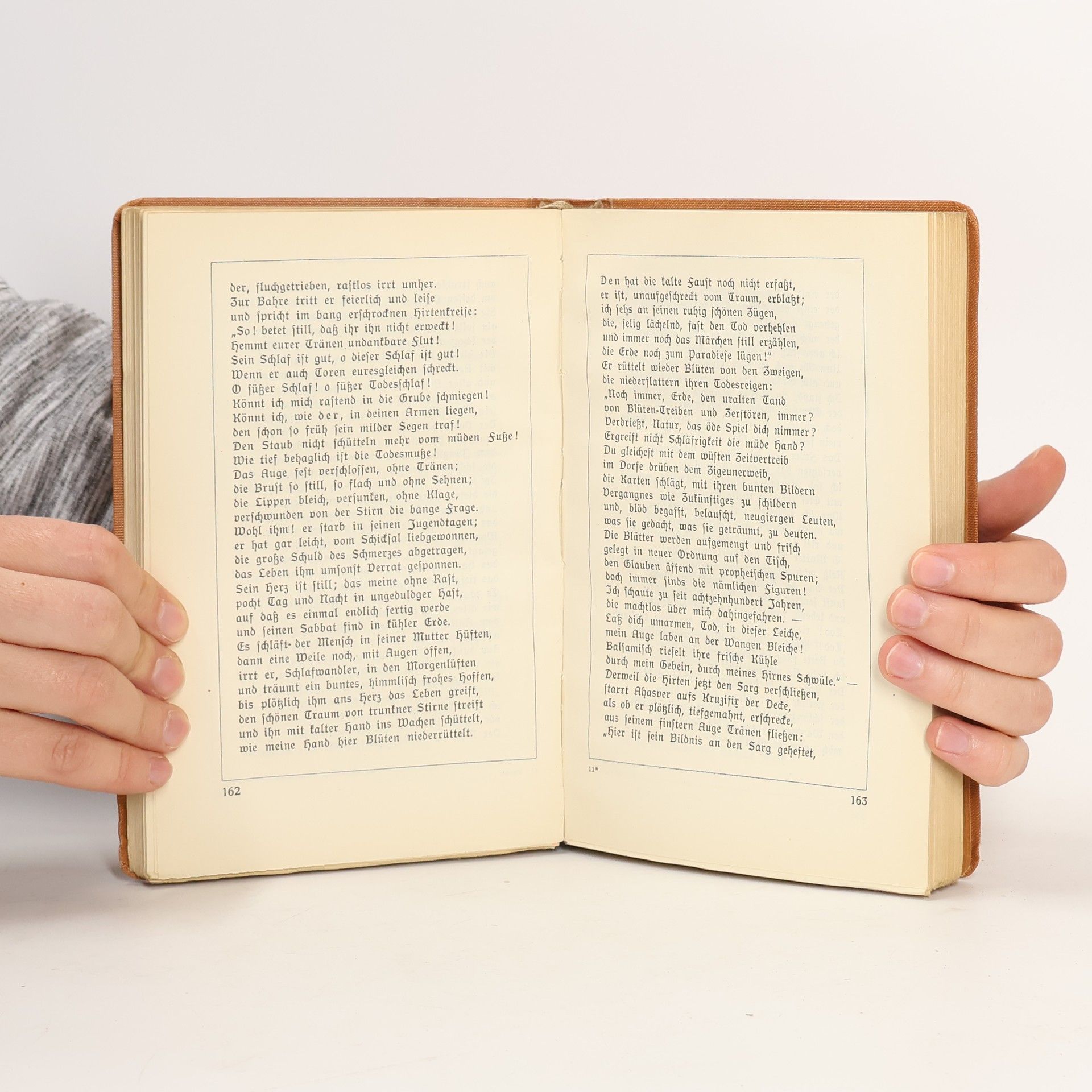 Nikolaus Lenau Ein Kampf ums licht