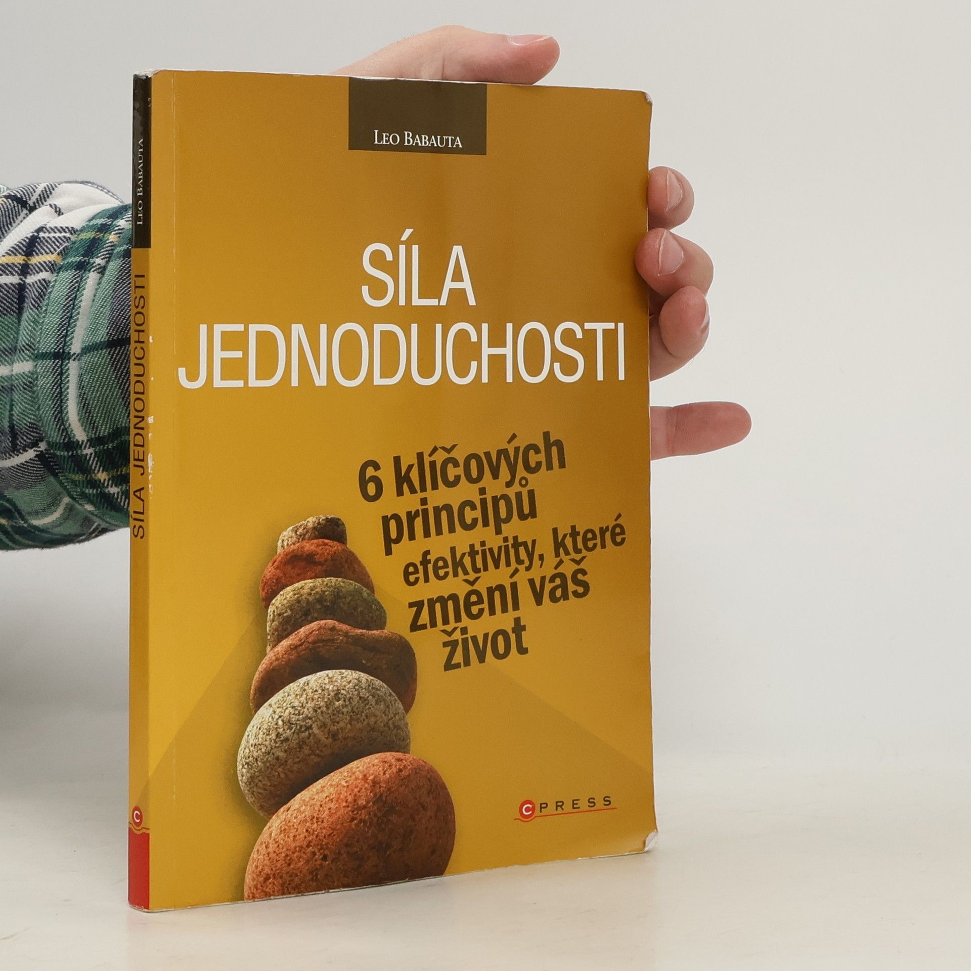 Leo Babauta Síla jednoduchosti. 6 klíčových principů efektivity, které změní váš život