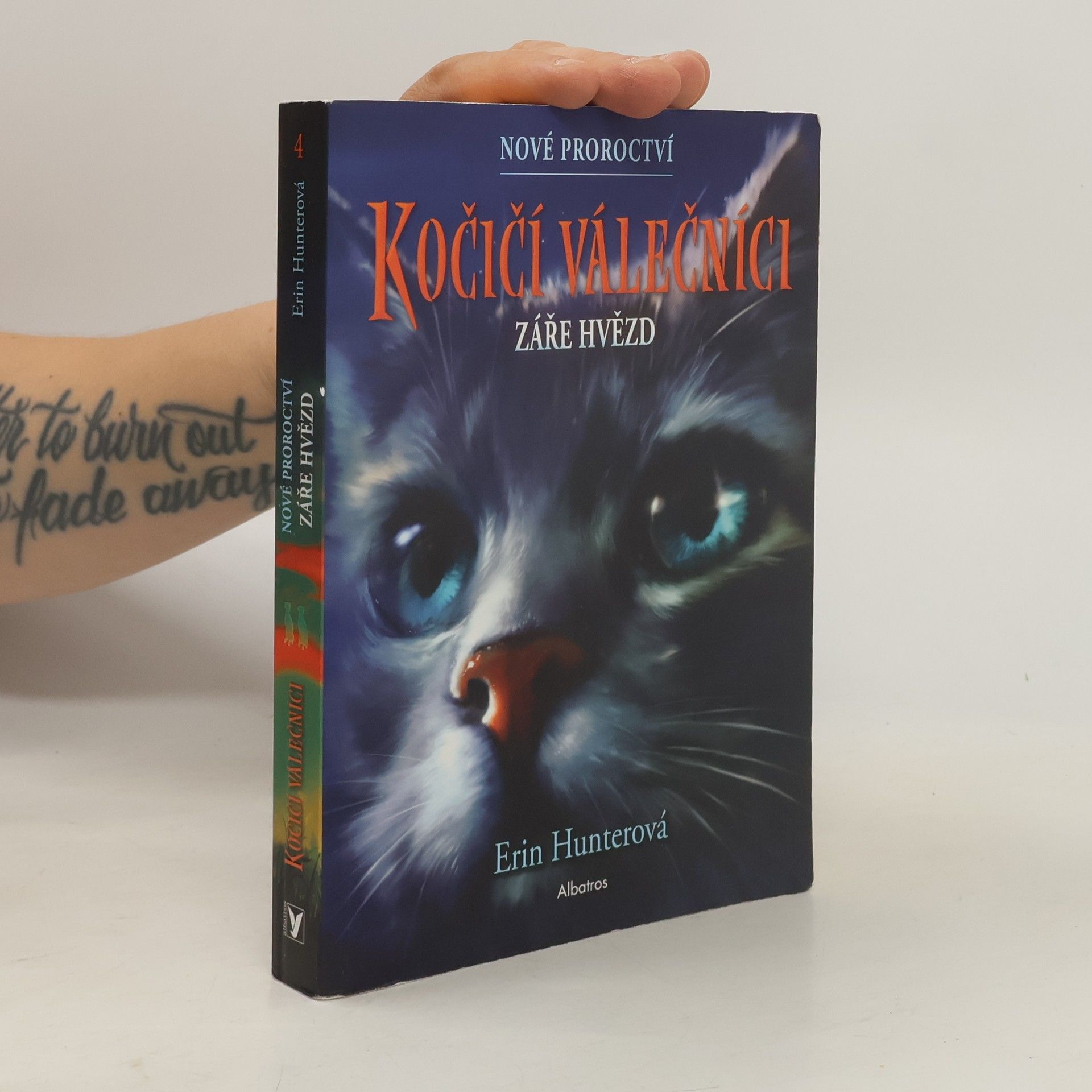 Kočičí válečníci : nové proroctví. Záře hvězd