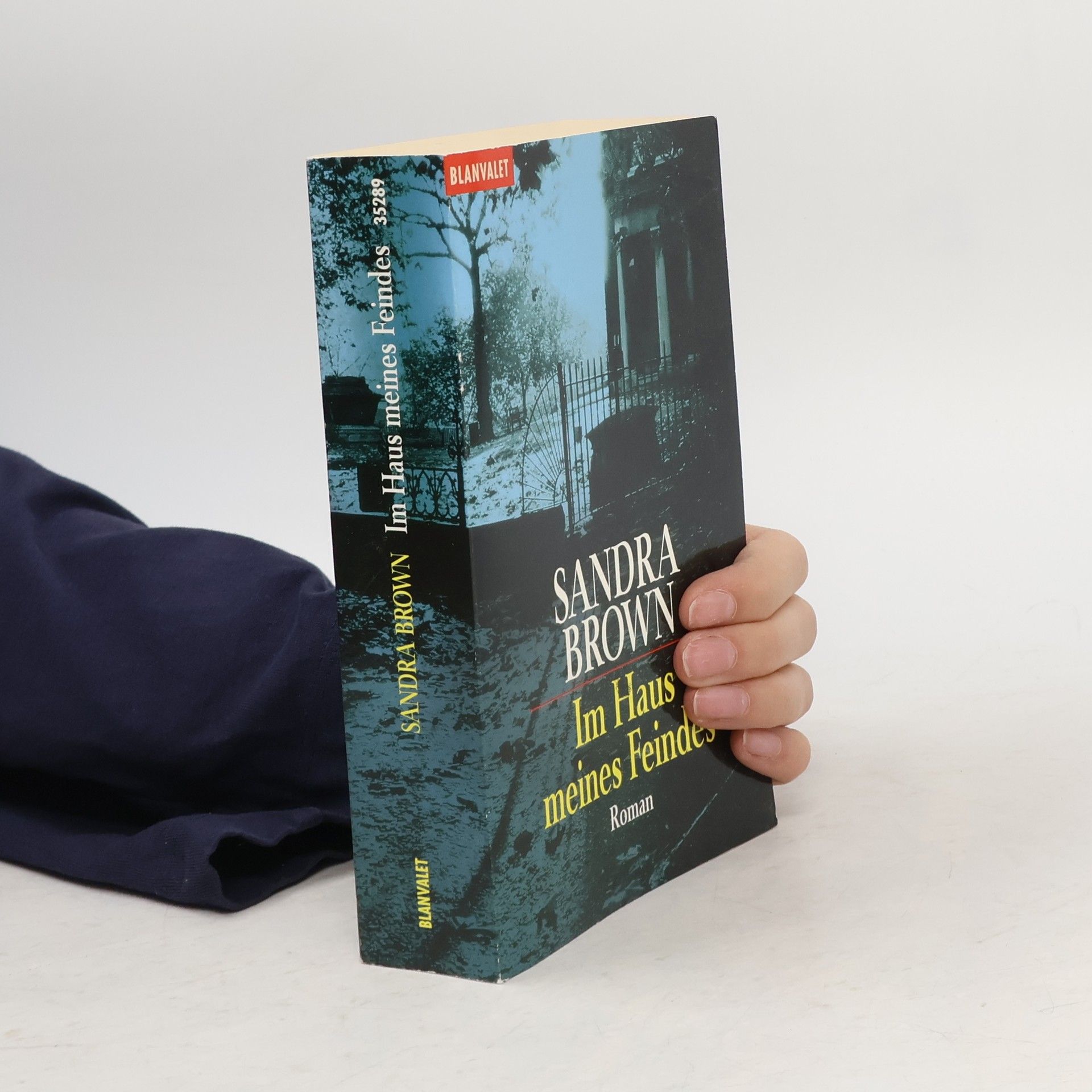 Sandra Brown Im Haus meines Feindes