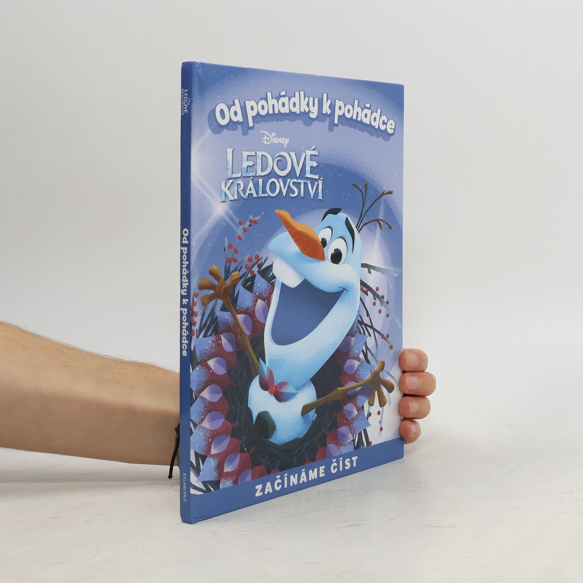 Auteurscollectief Od pohádky k pohádce. Ledové království