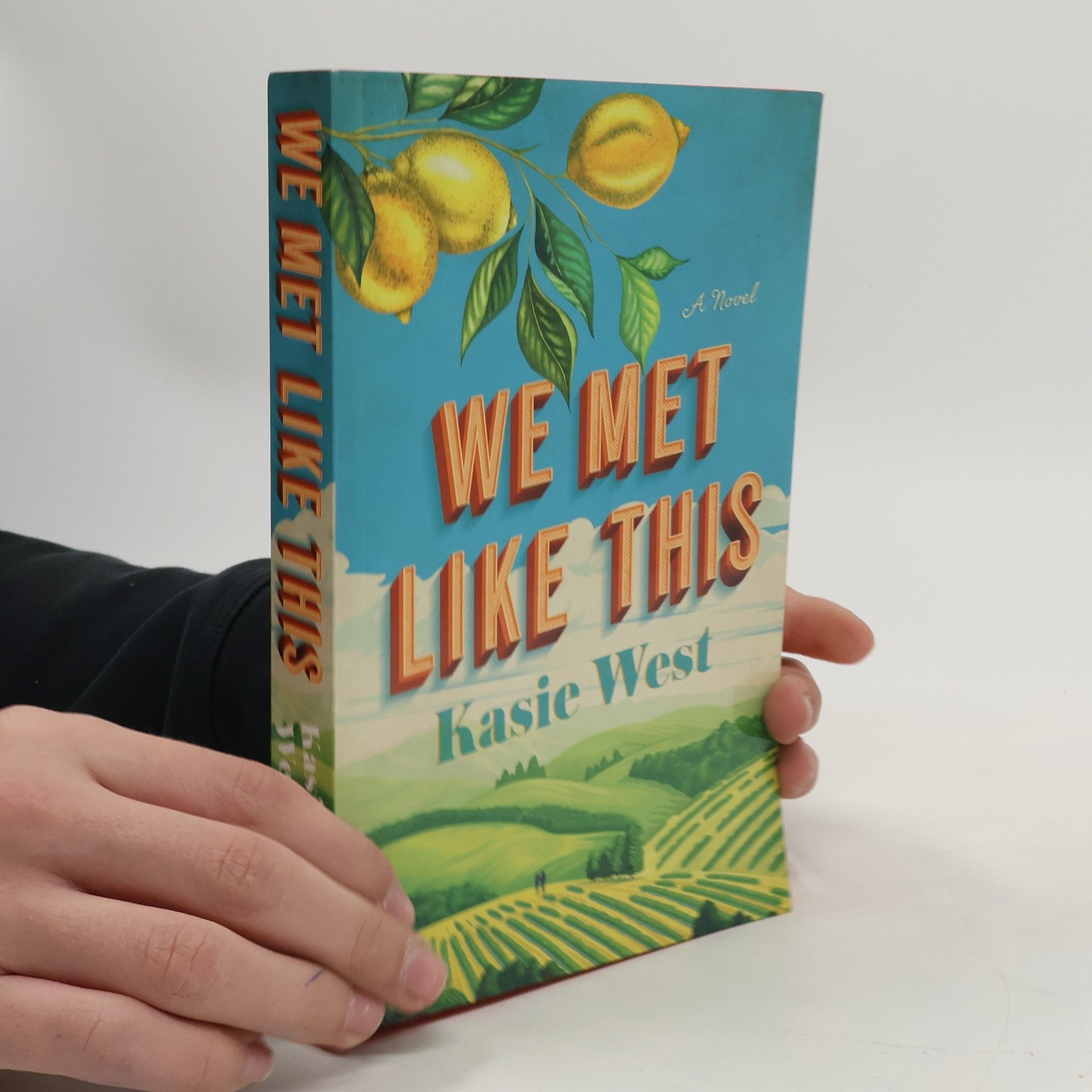 Kasie West We Met Like This: A Novel