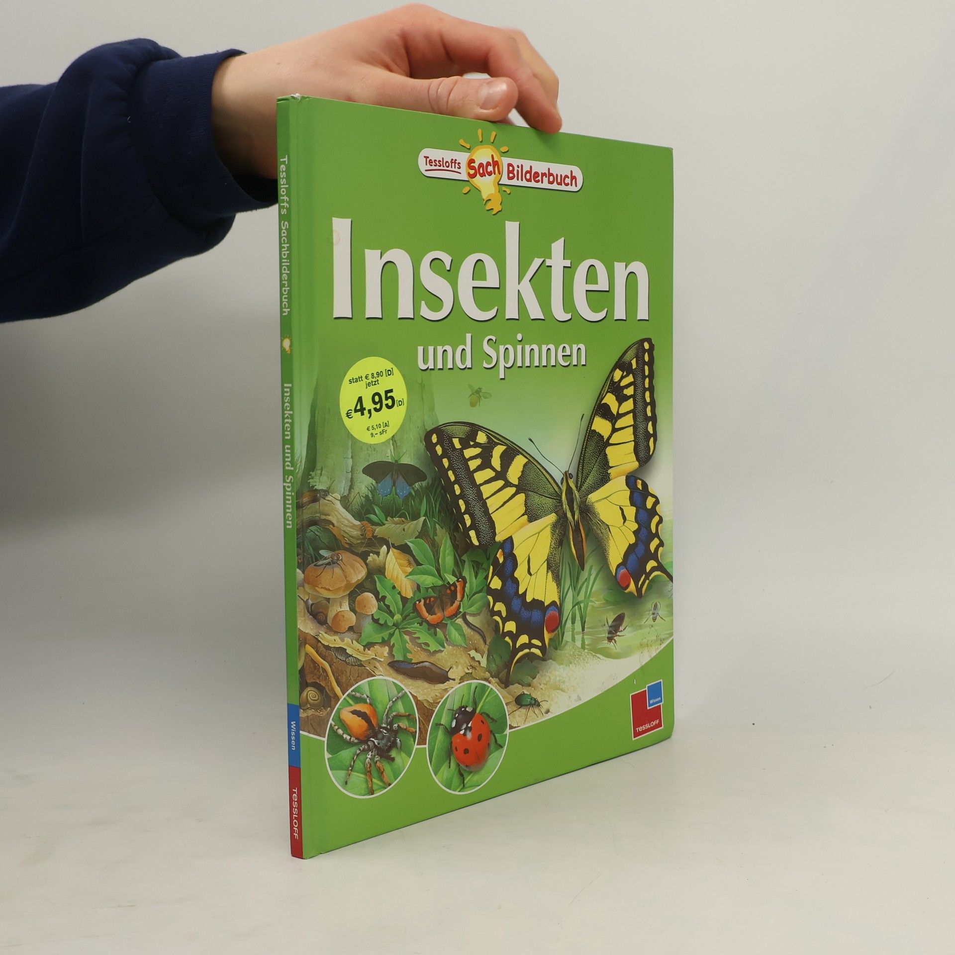 Rachel Coombs Insekten und Spinnen