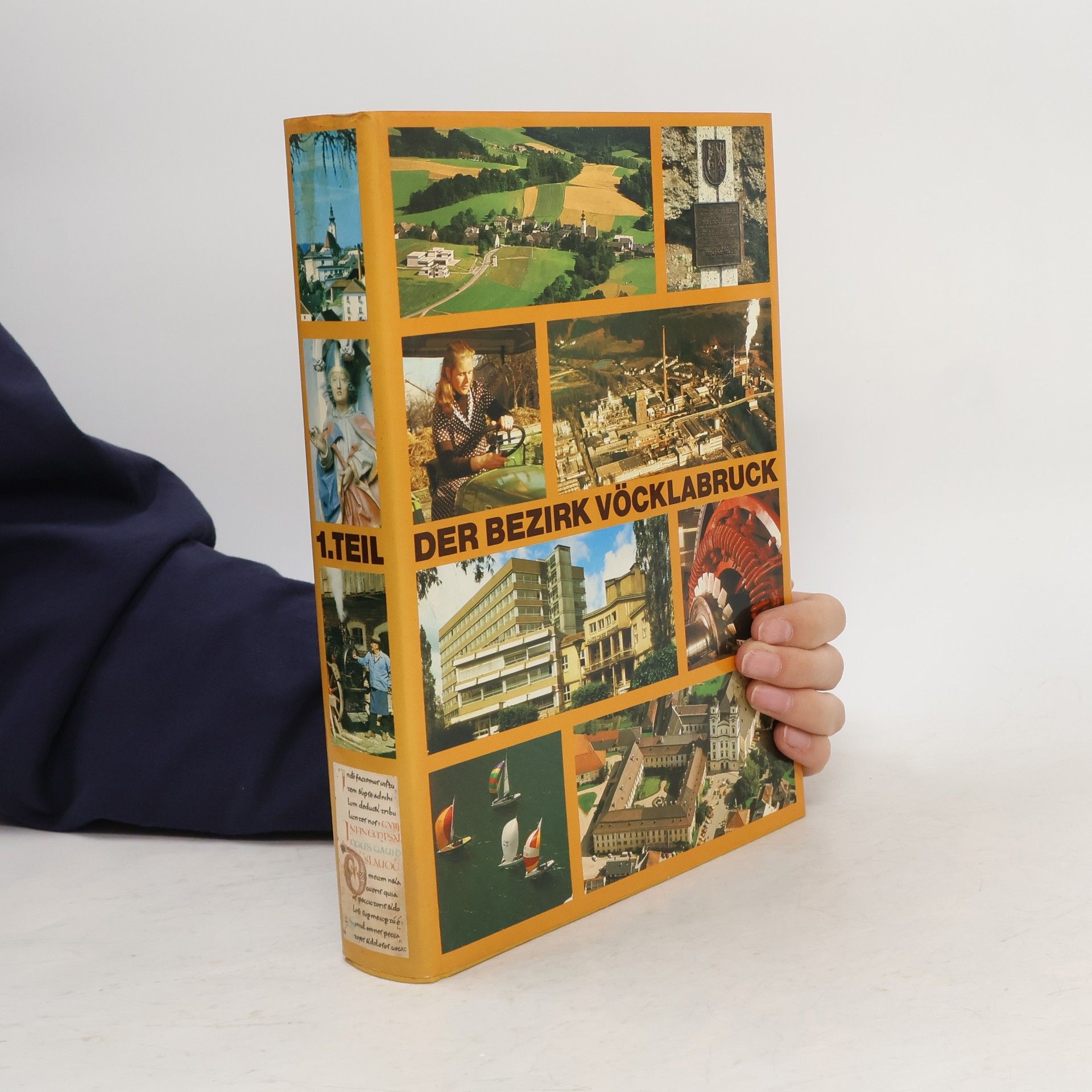 Friedrich Pisar Der Bezirk Vöcklabruck 1