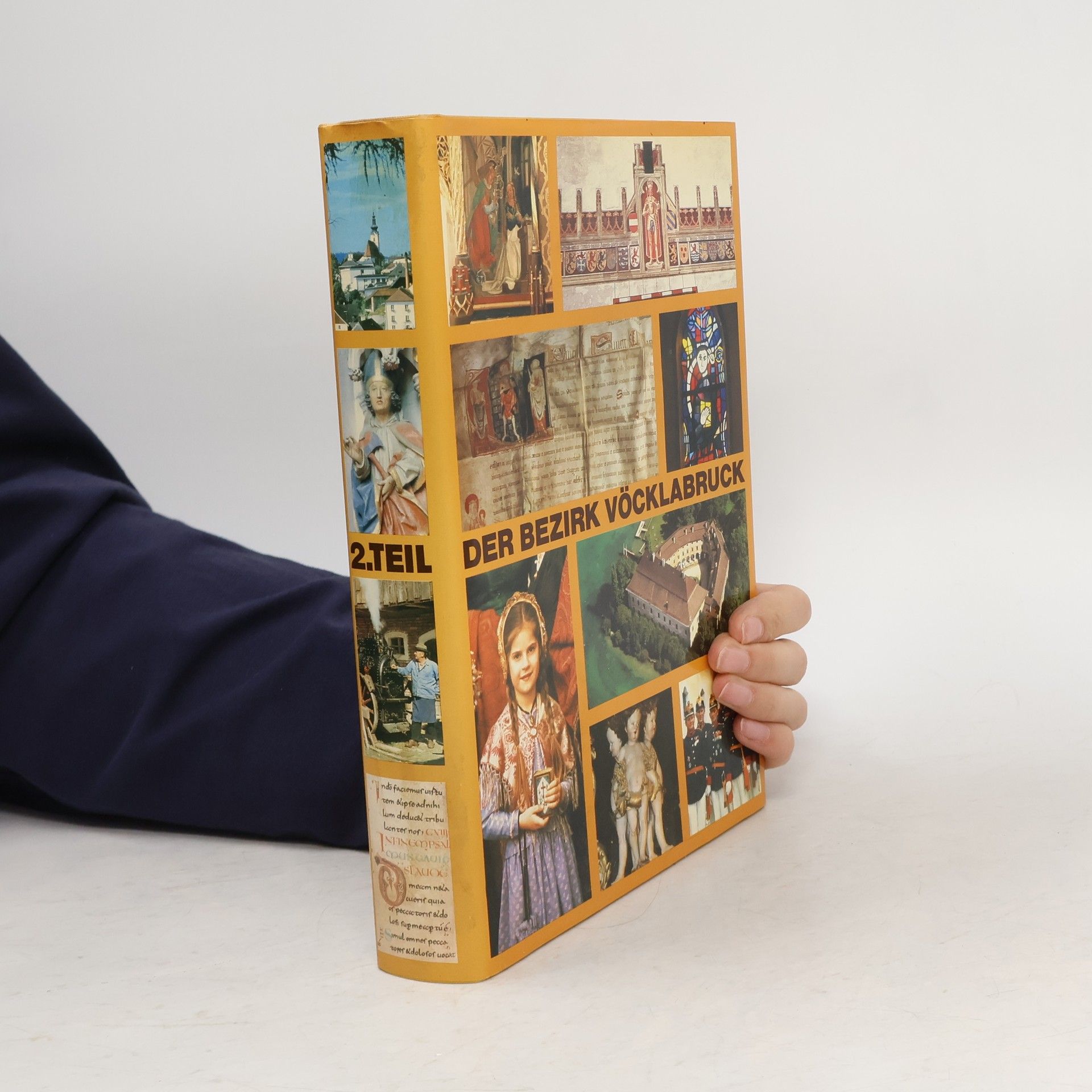 Friedrich Pisar Der Bezirk Vöcklabruck 2