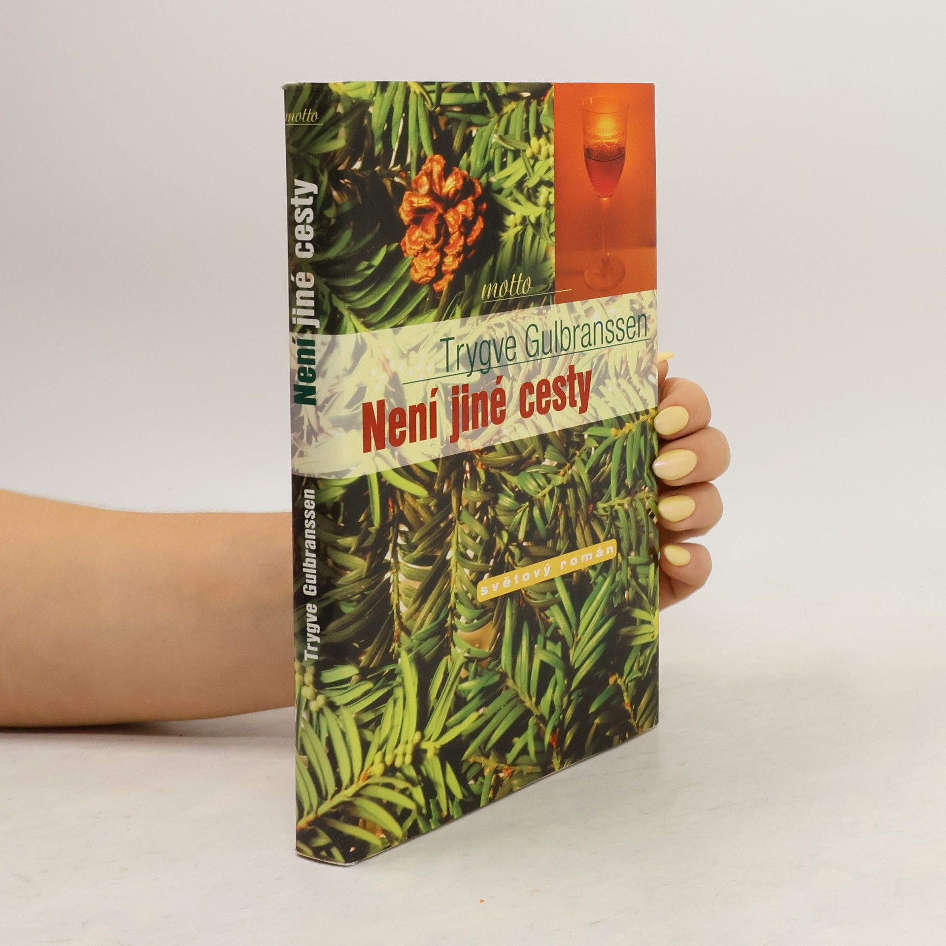 Trygve Gulbranssen Není jiné cesty. Věčně zpívají lesy 3