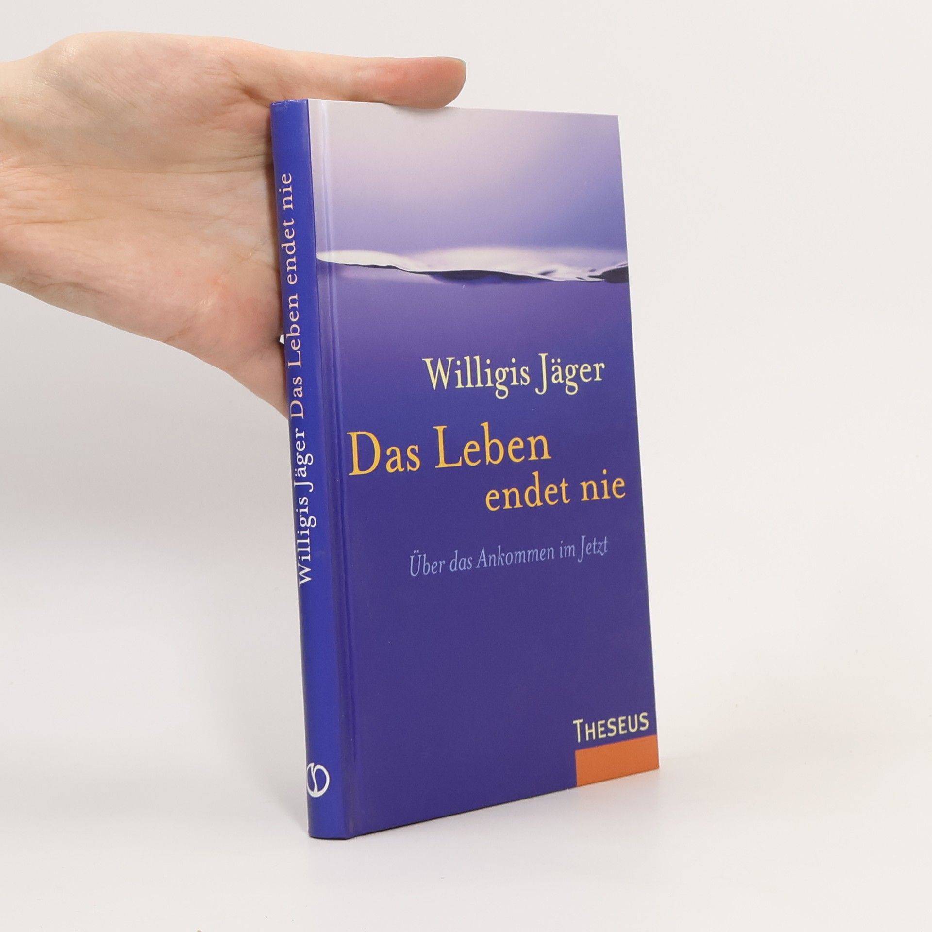 Willigis Jäger Das Leben endet nie