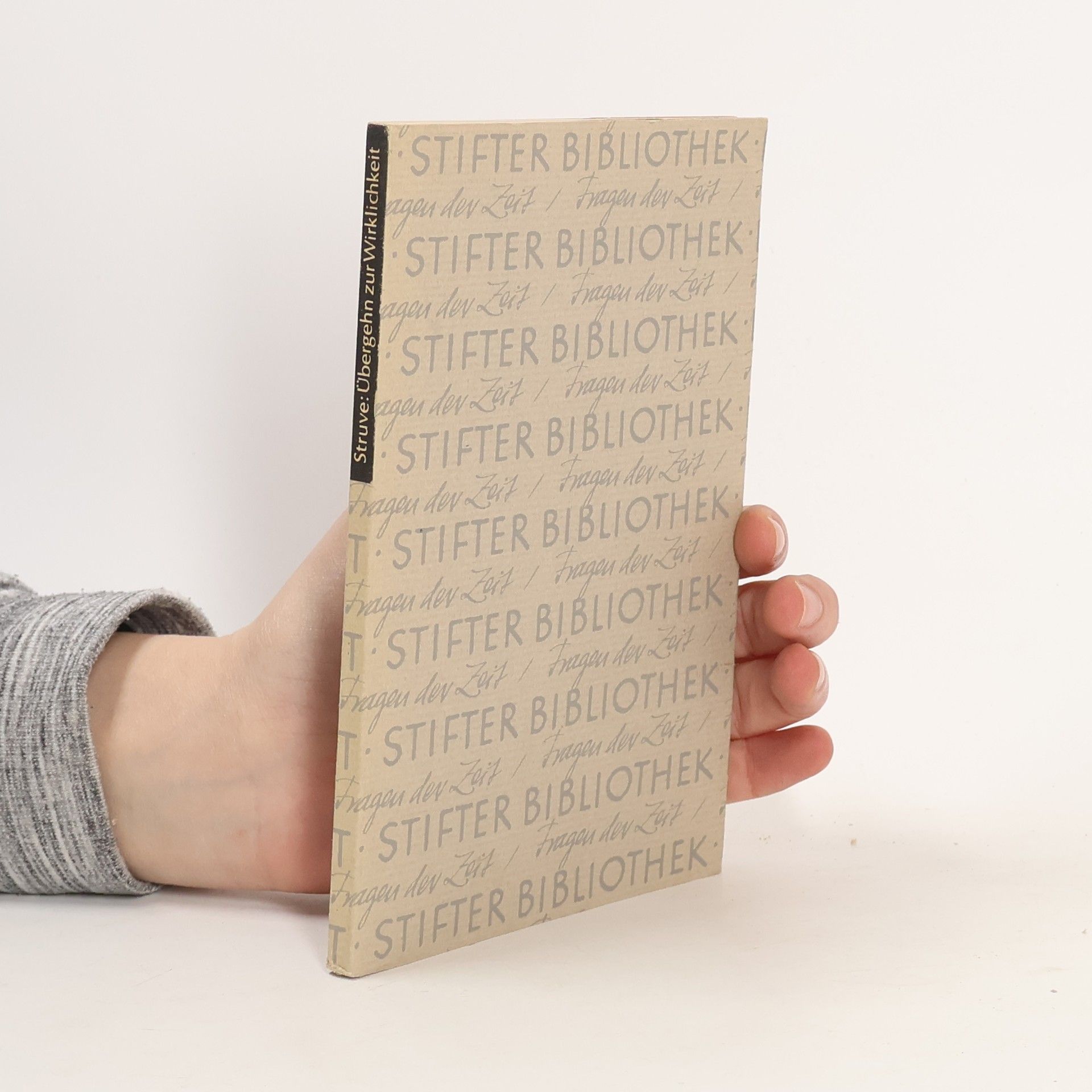 Wolfgang Struve Übergehn zur Wirklichkeit