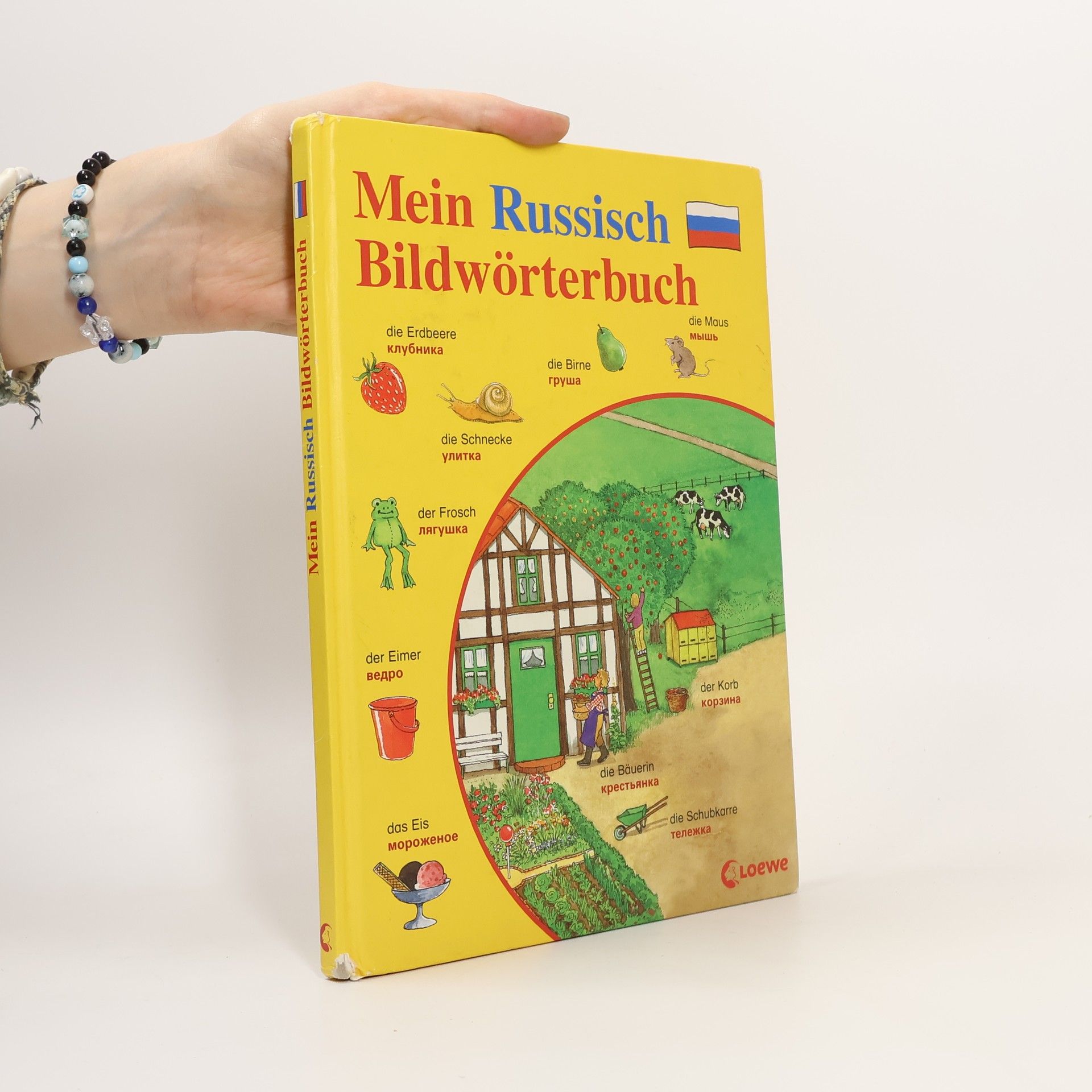 Angela Weinhold Mein Russisch-Bildwörterbuch
