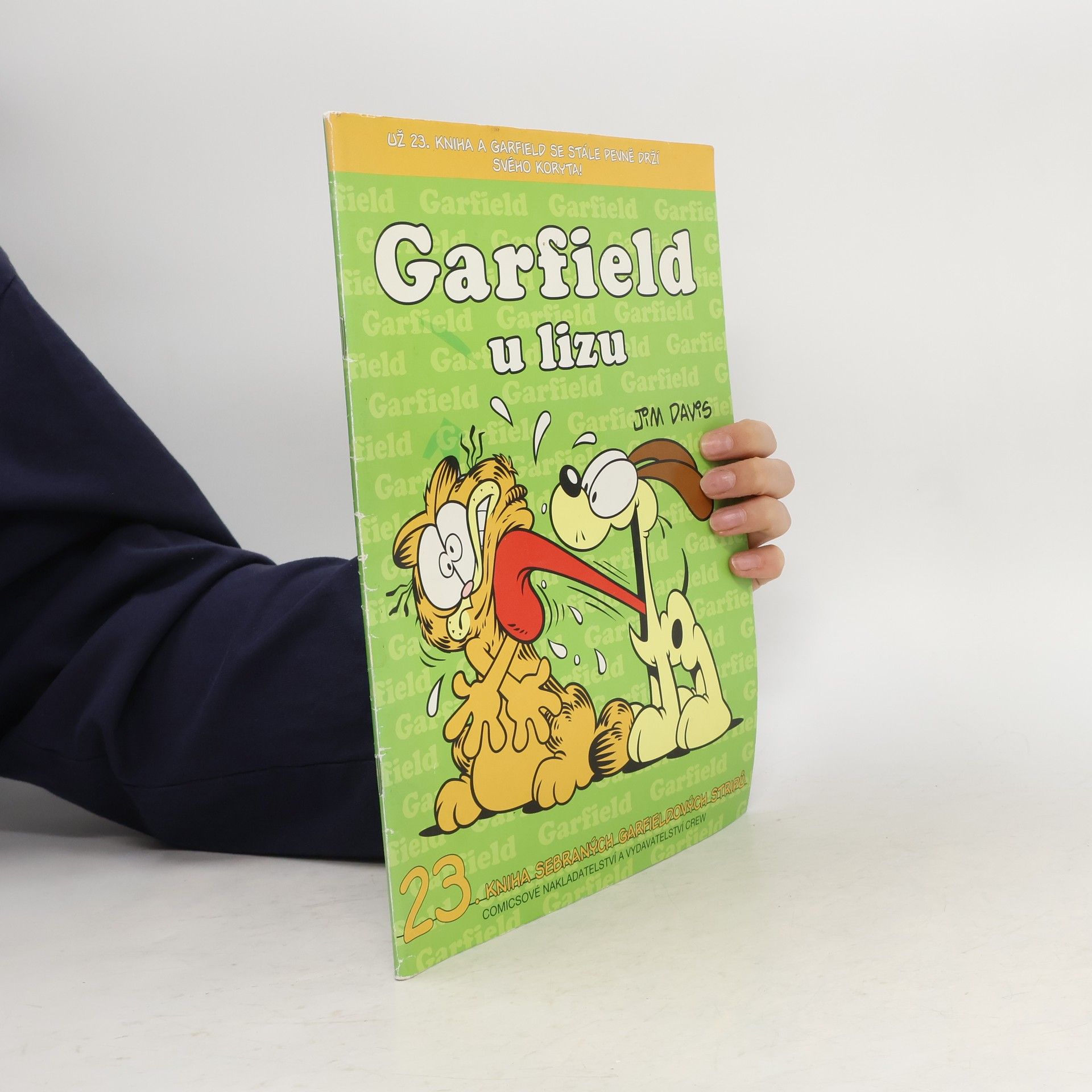 Jim Davis Garfield u lizu