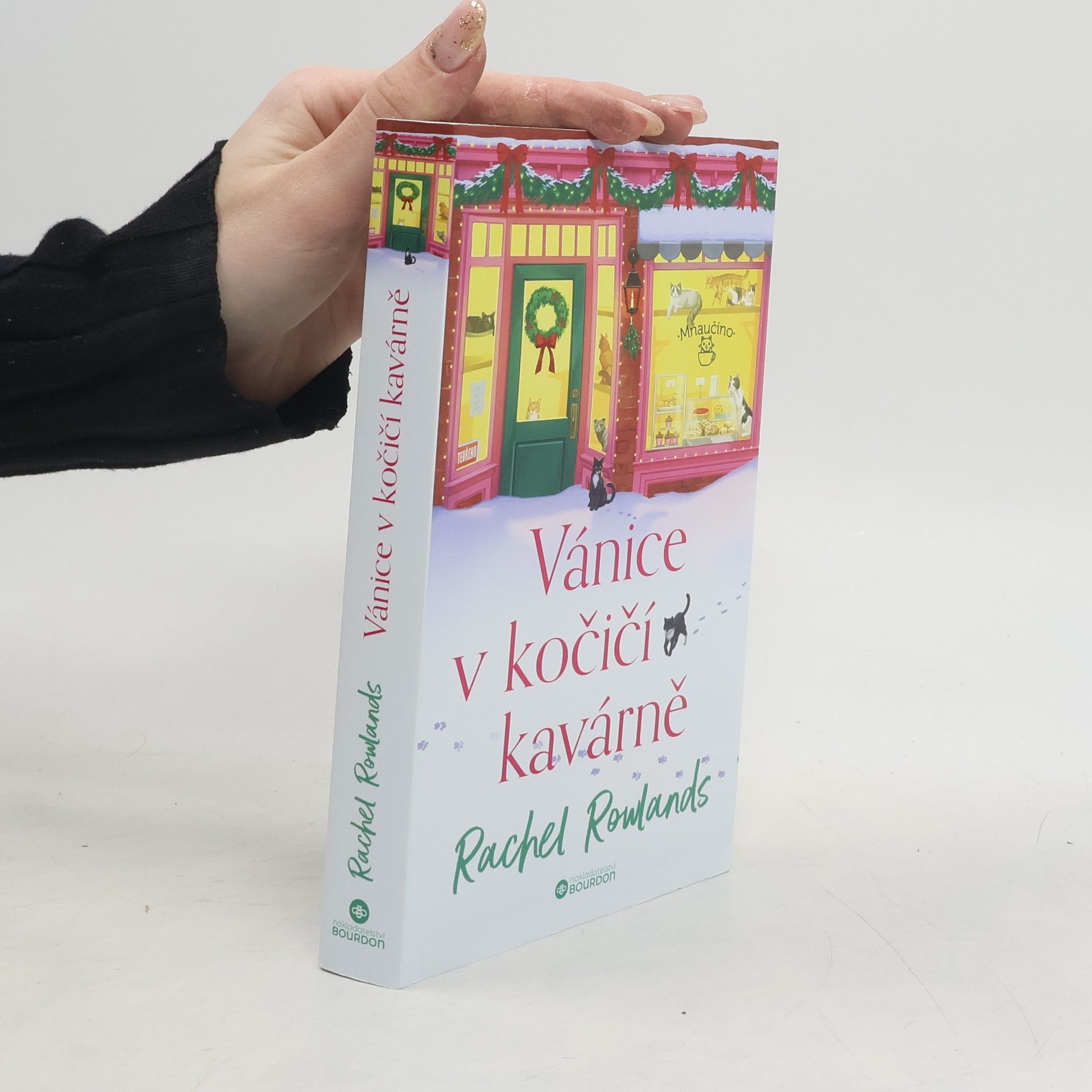 Rachel Rowlands Vánice v kočičí kavárně