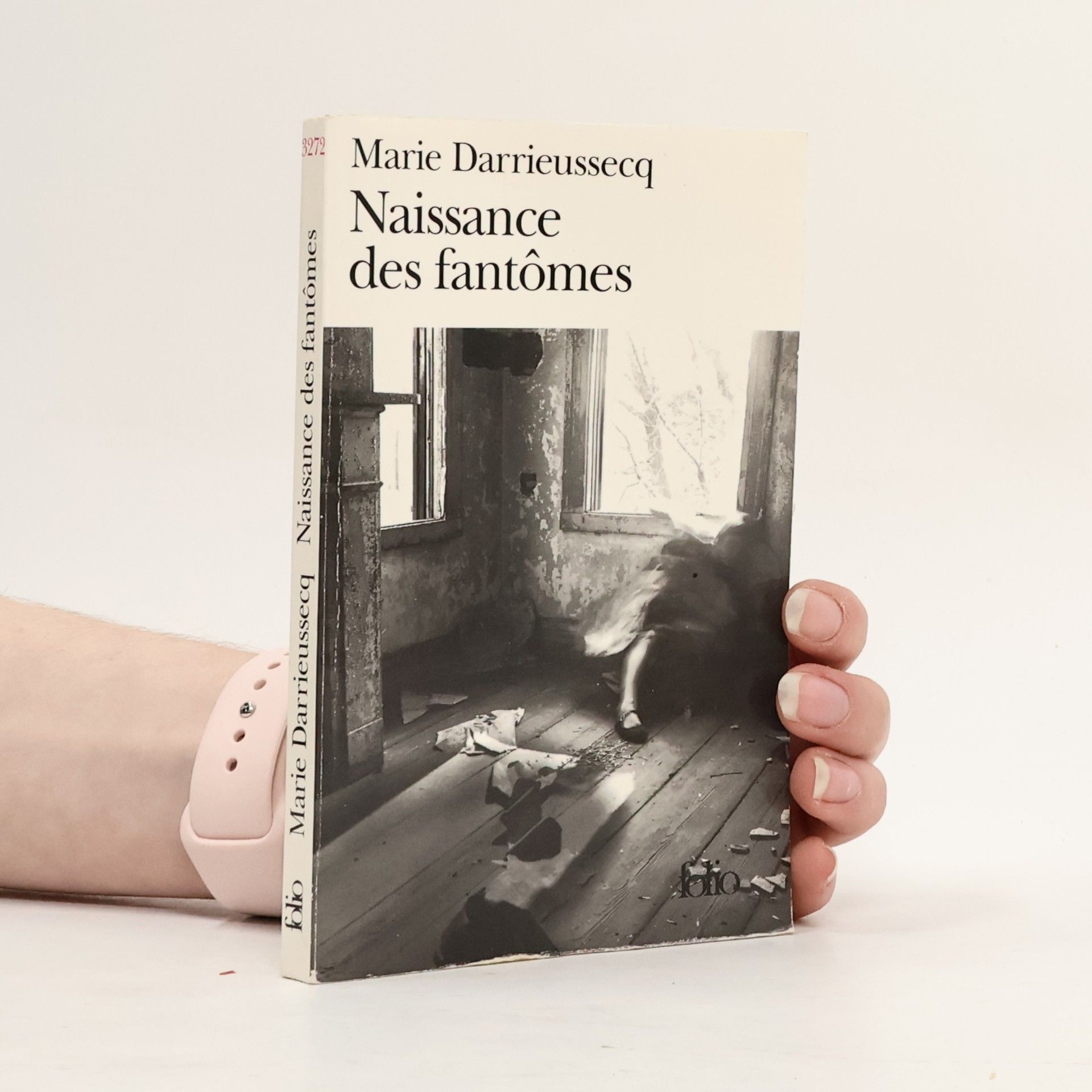 Marie Darrieussecq Naissance des fantômes