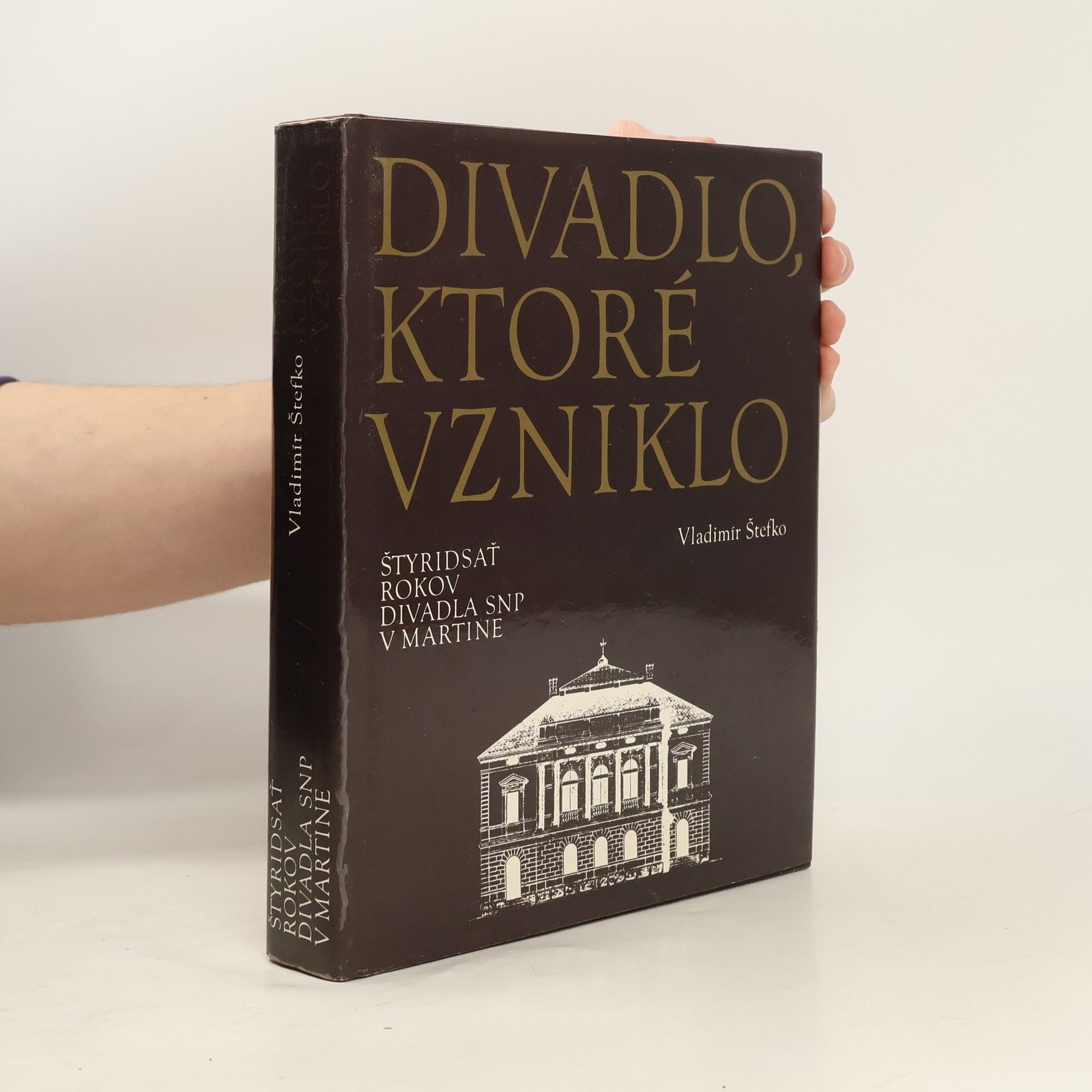 Divadlo, ktoré vzniklo : štyridsať rokov divadla SNP v Martine