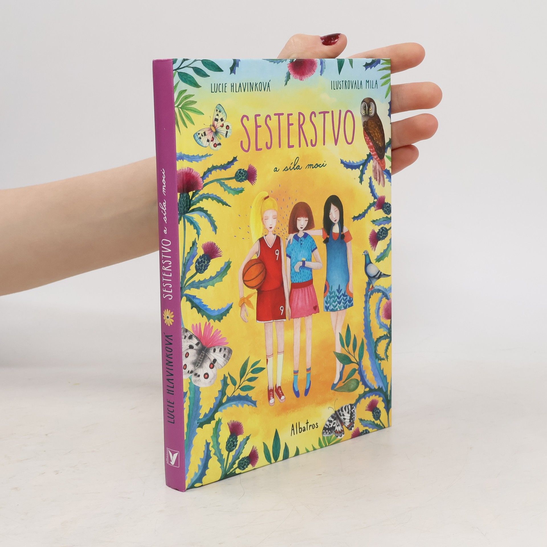 Sesterstvo a síla moci