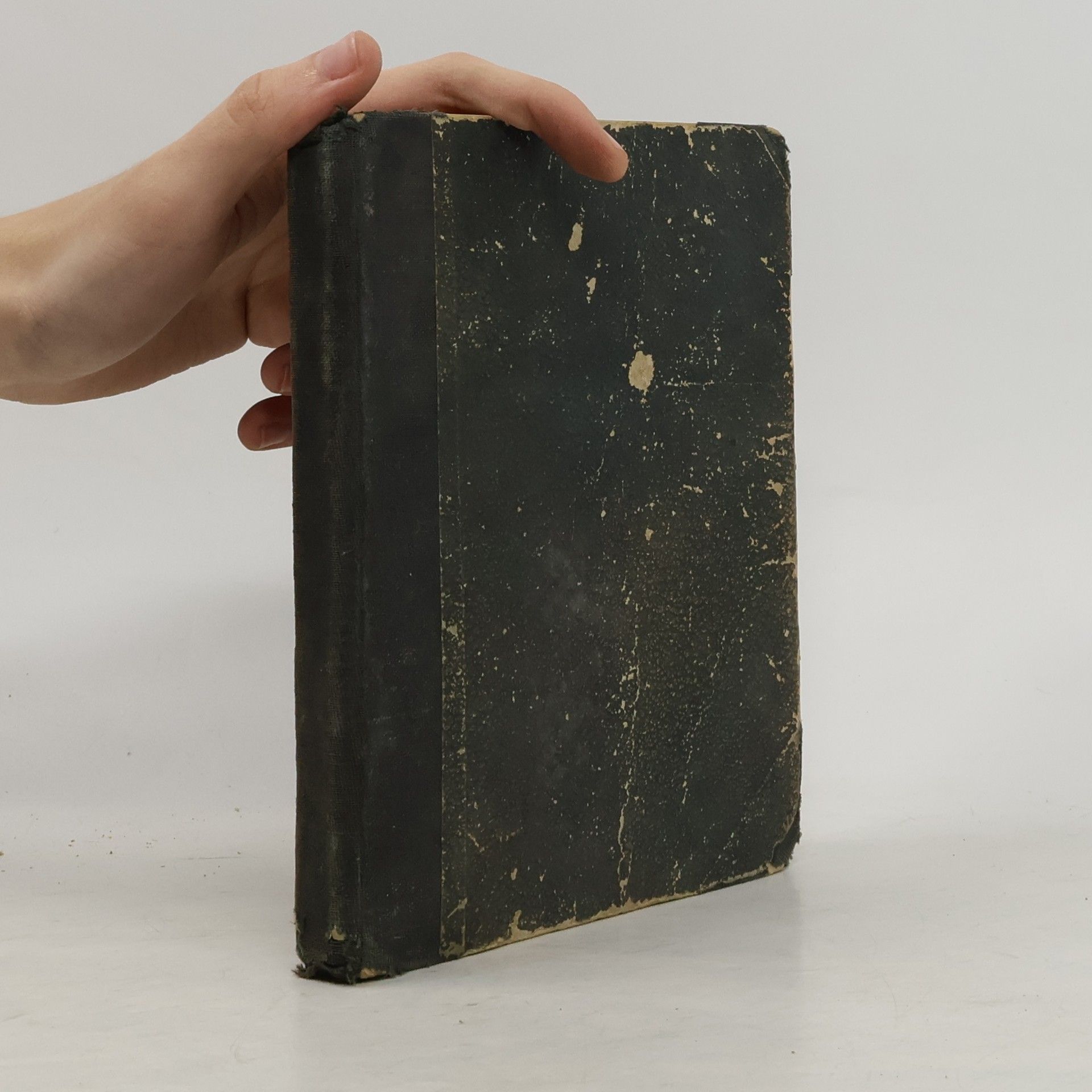 Marie Kyjevská Láska vychovatelky