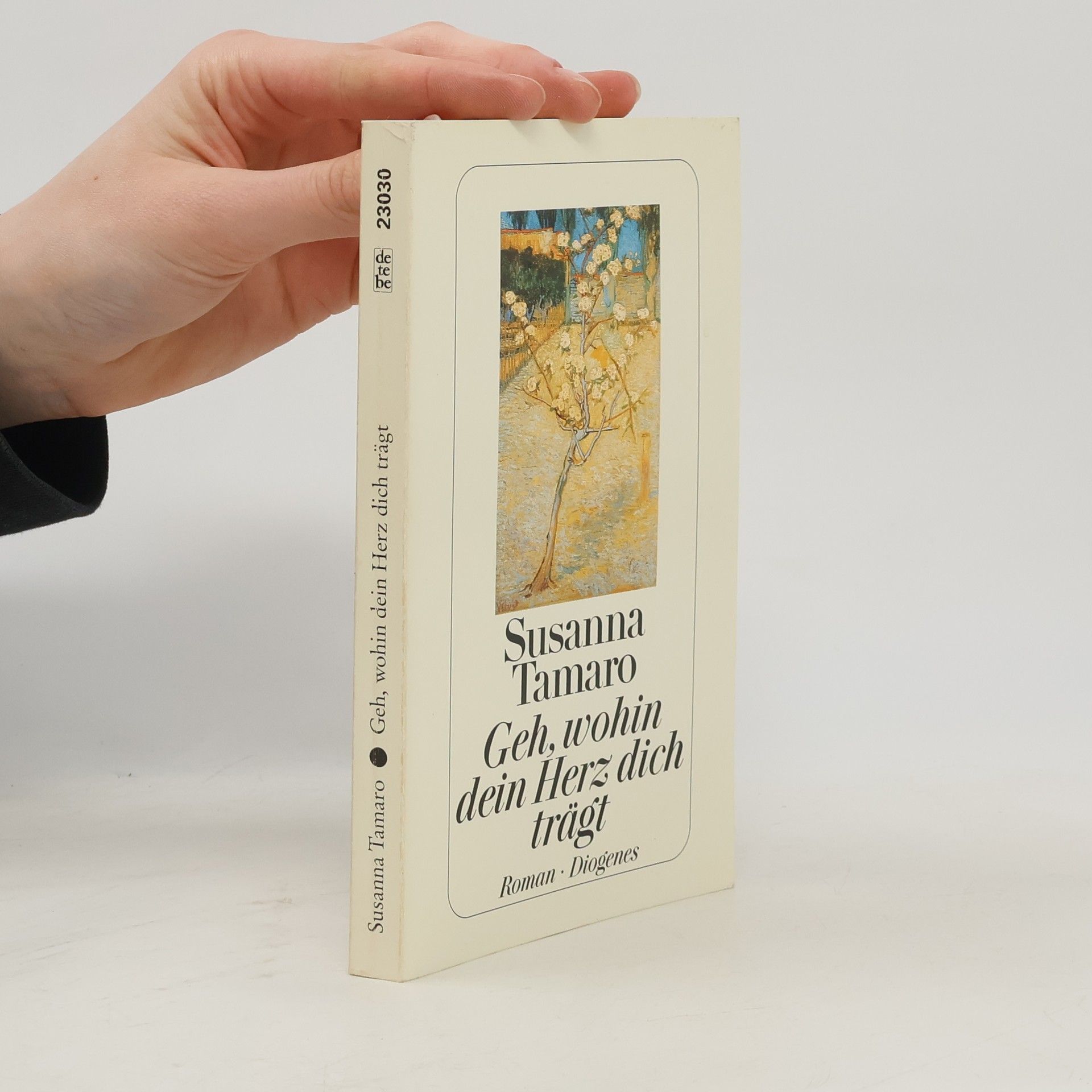 Susanna Tamaro Geh, wohin dein Herz dich trägt