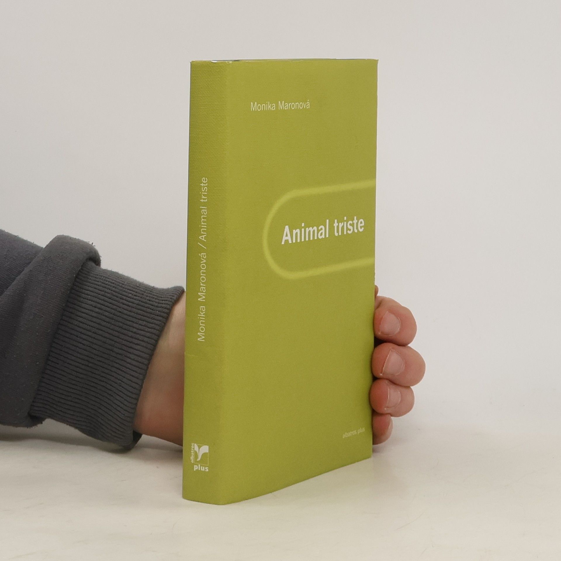 Monika Maron Animal triste