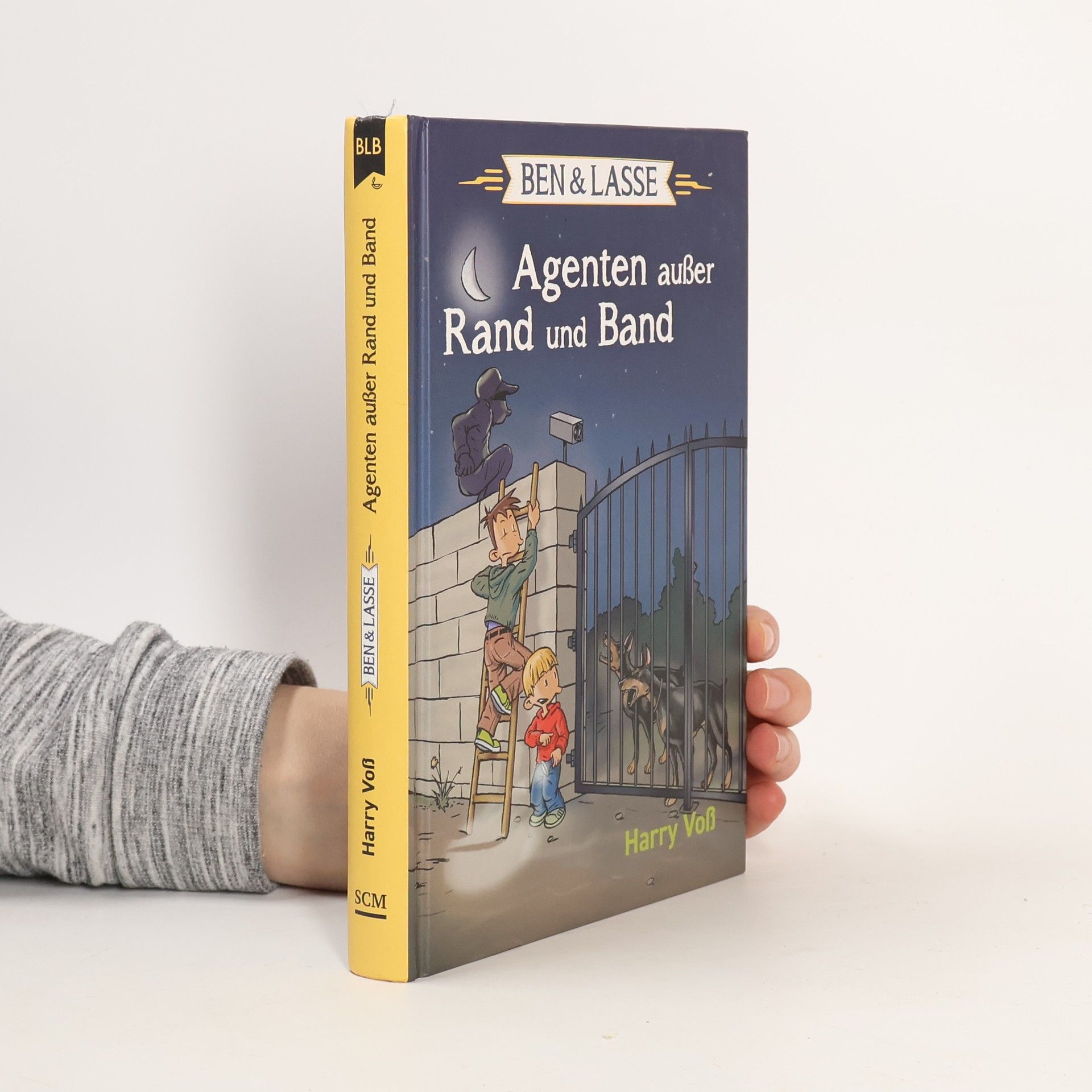 kolektiv Voß, H: Agenten außer Rand und Band