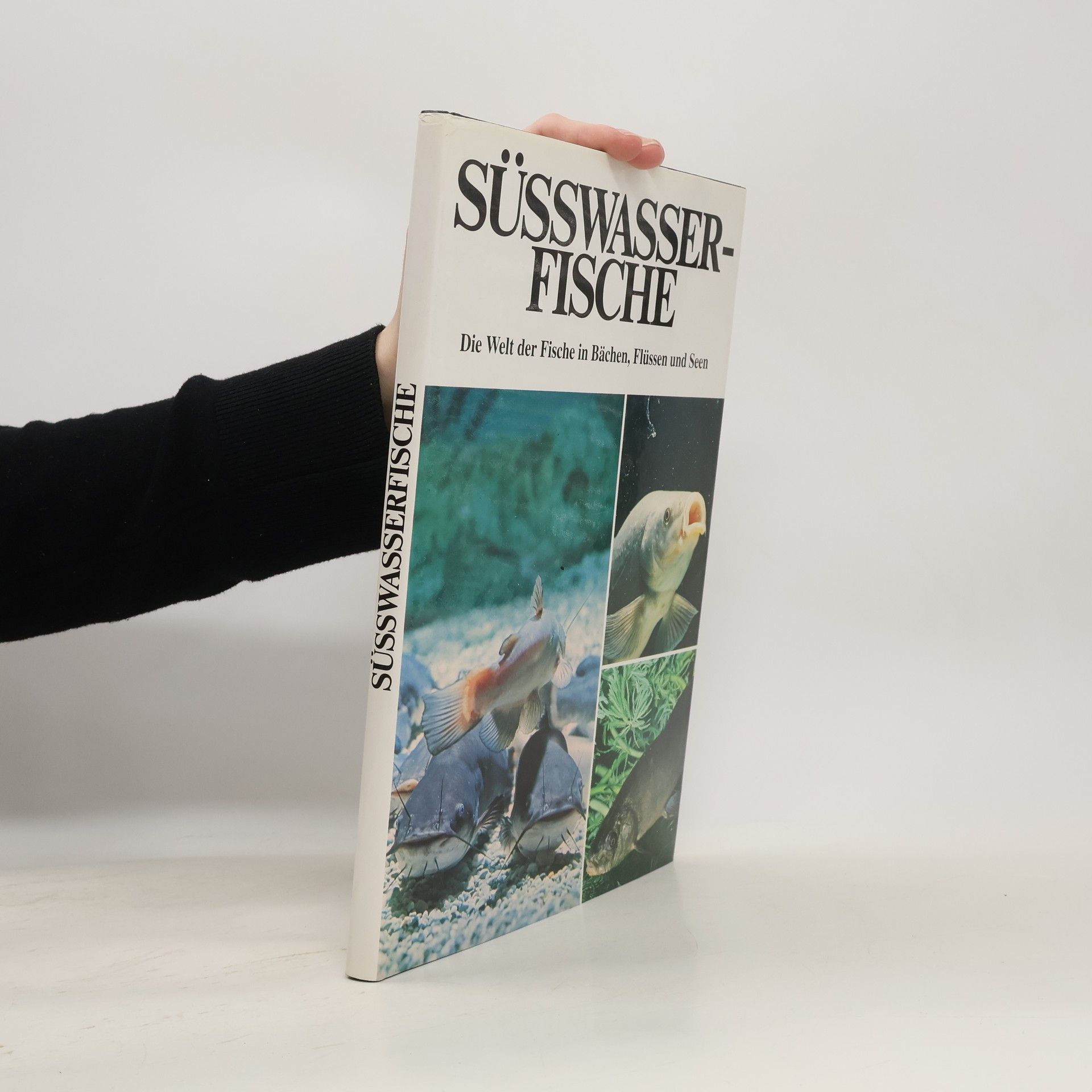 Valerio Giacomini Süsswasser-Fische