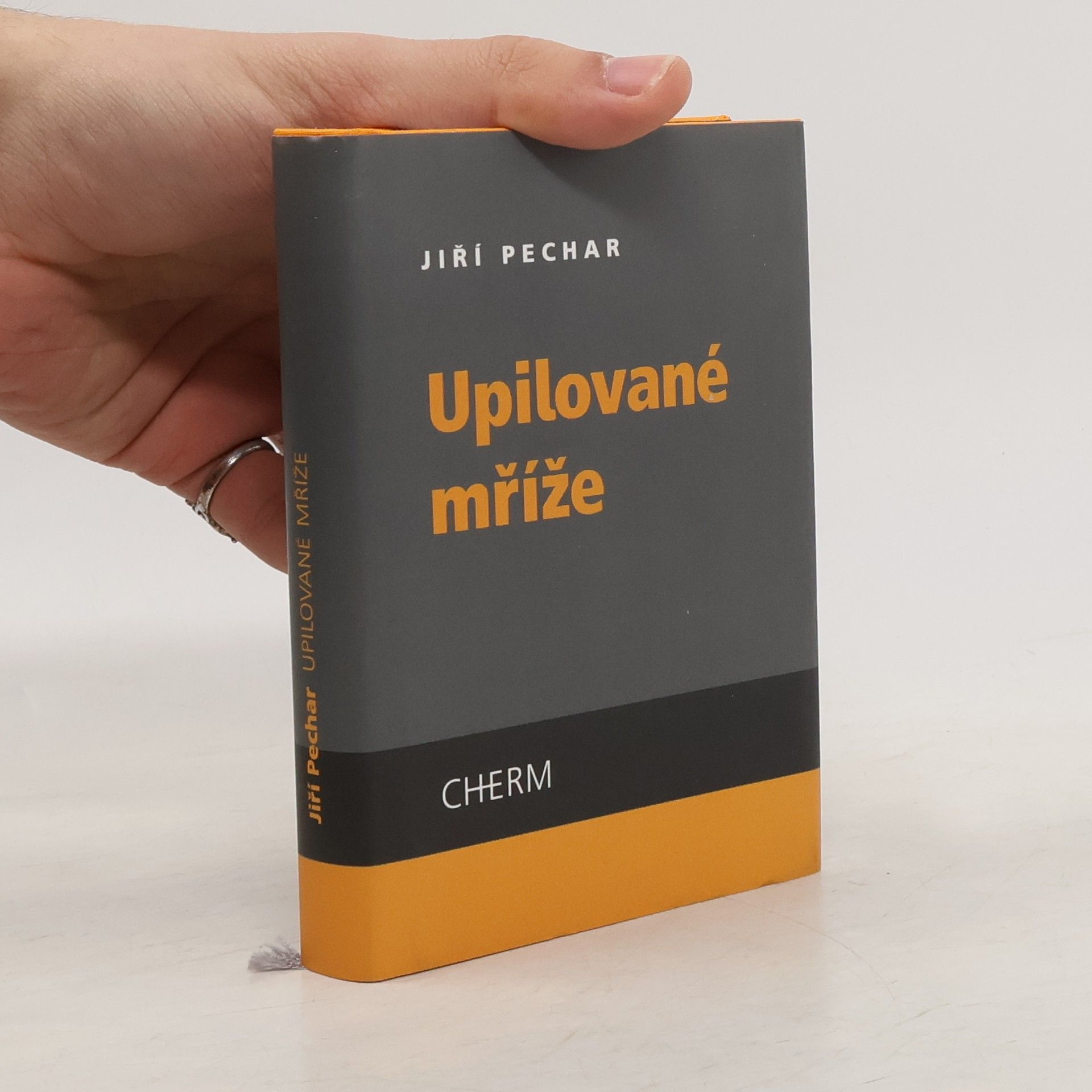 Jiří Pechar Upilované mříže