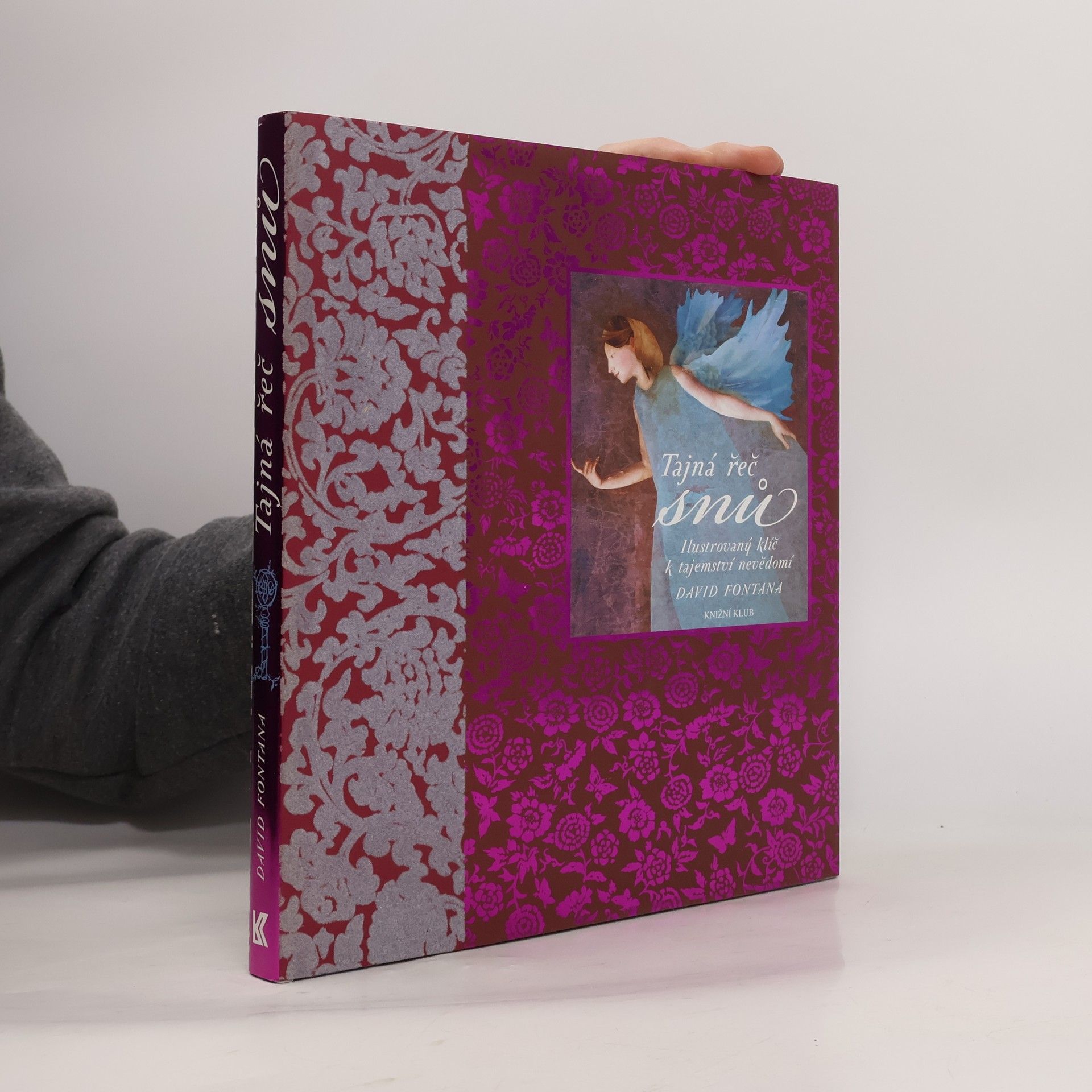 David Fontana Tajná řeč snů
