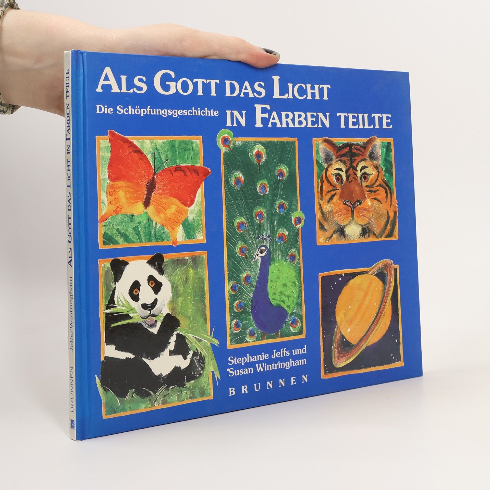 Stephanie Jeffs Als Gott das Licht in Farben teilte