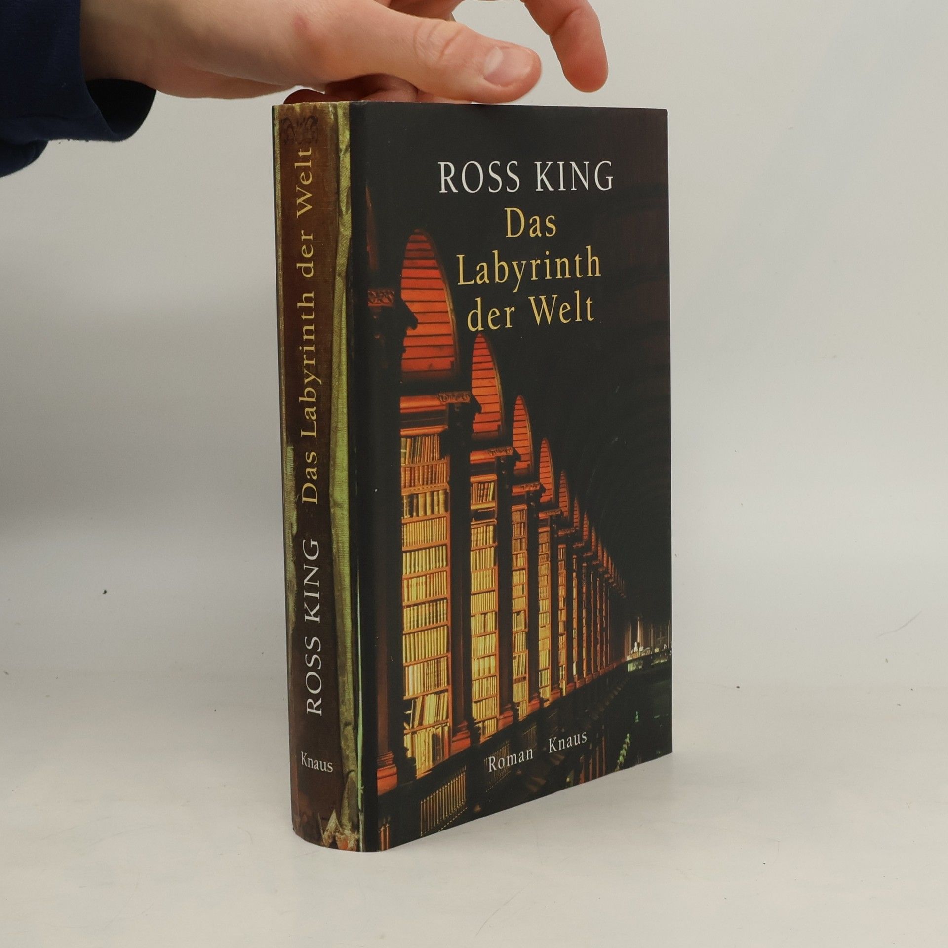 Ross King Das Labyrinth der Welt