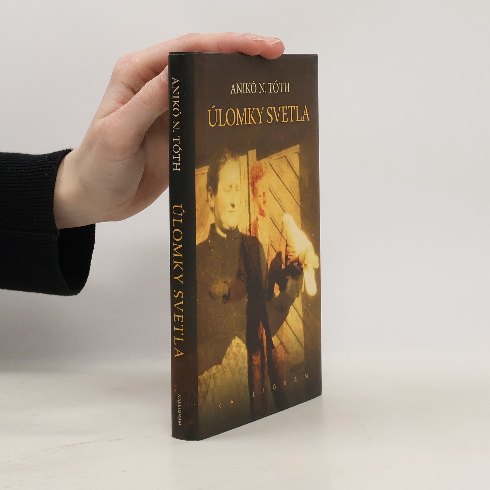 Anikó N.Tóth Úlomky svetla