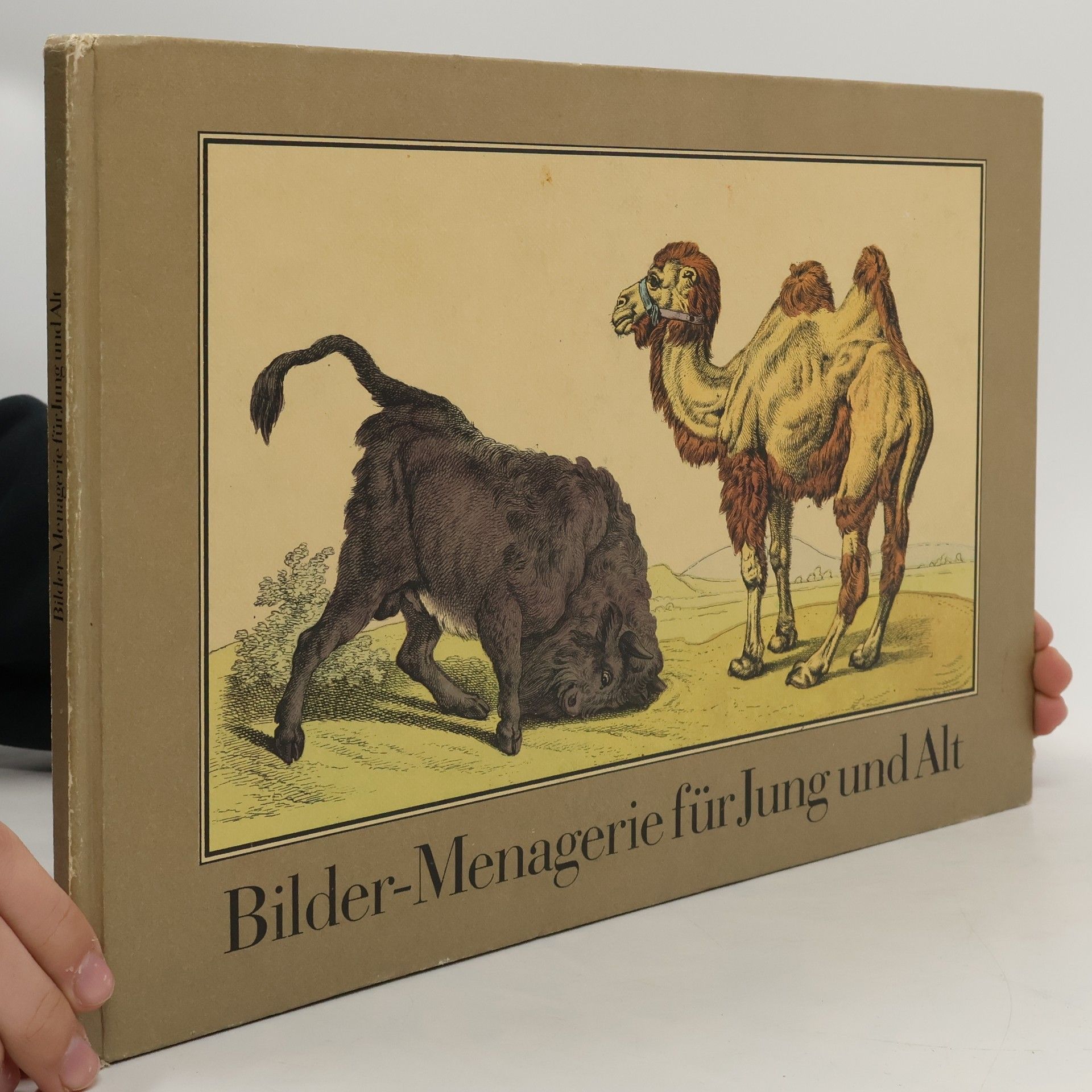 Autorenkollektiv Bilder-Menagerie für Jung und Alt