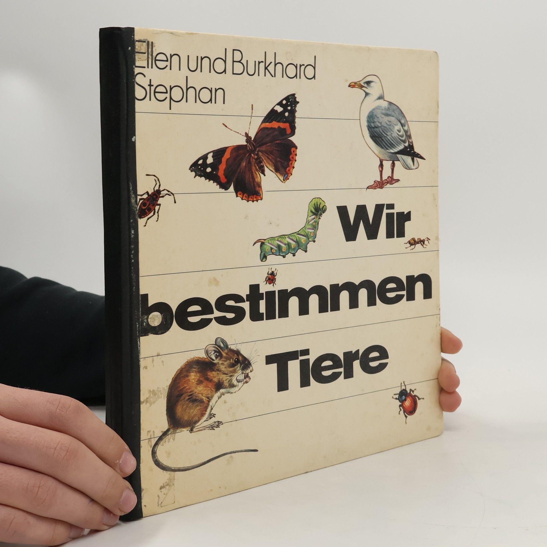 Burkhard Stephan Wir bestimmen Tiere