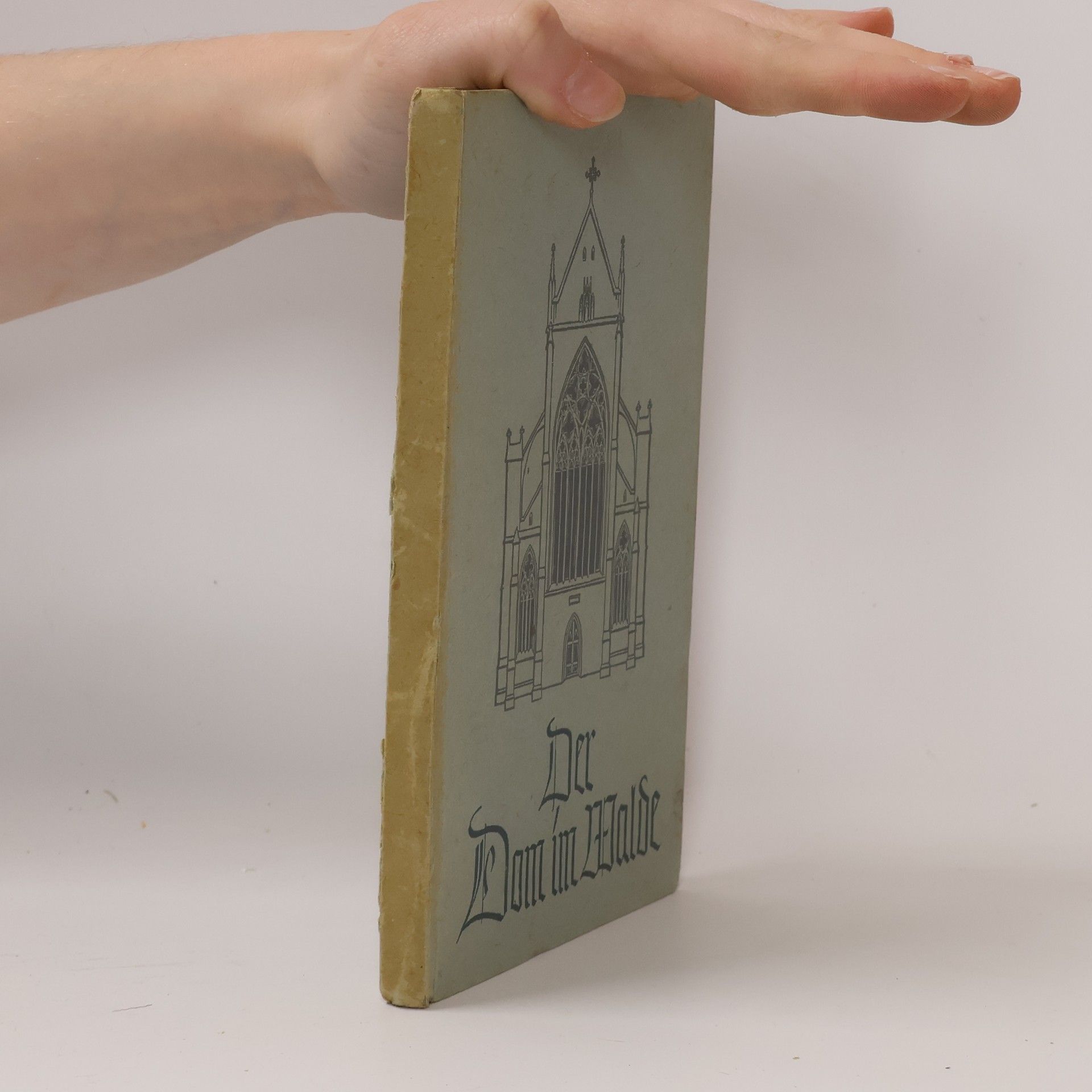 Gerhard Bayer Der Dom im walde