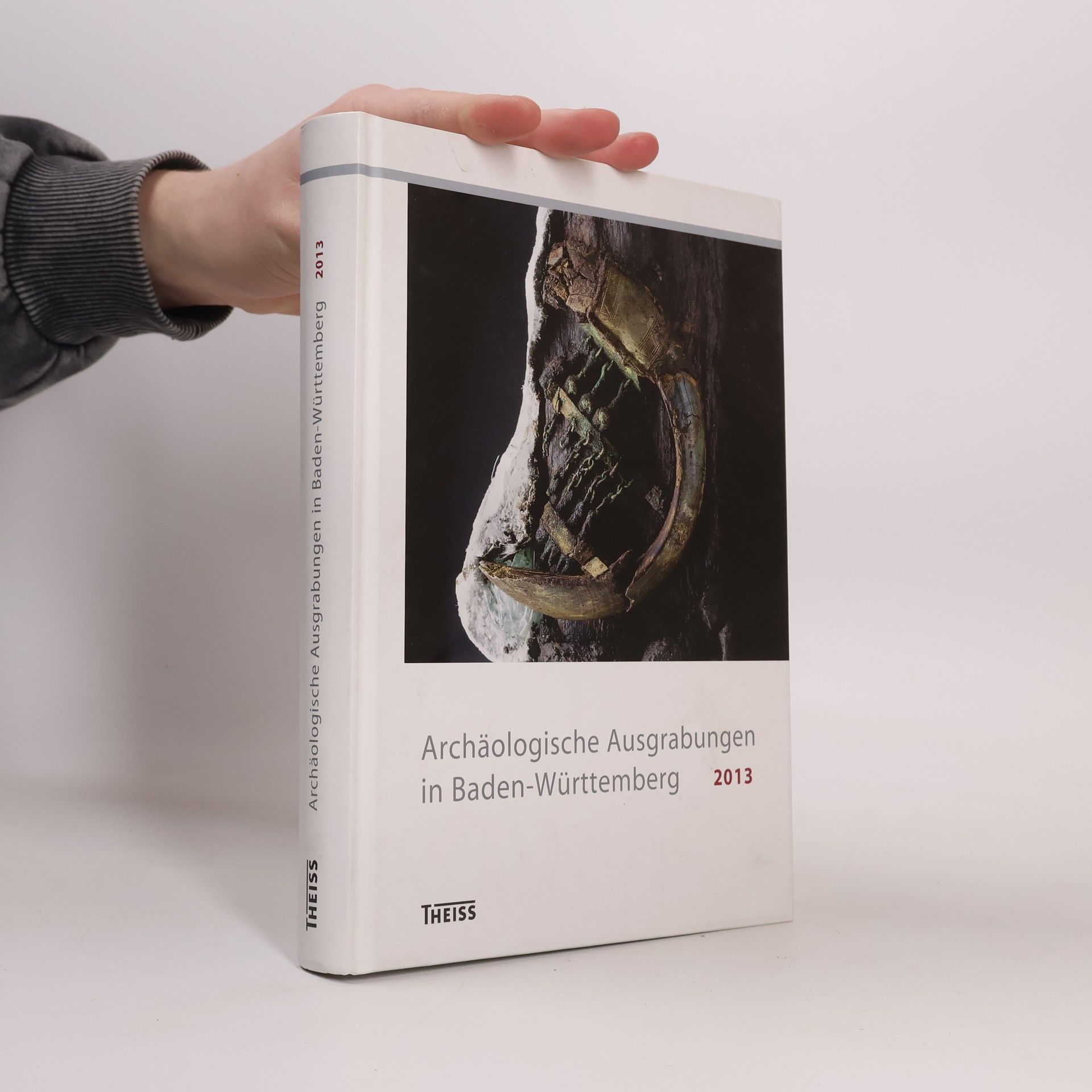 Förderkreis Archäologie in Baden e.V Archäologische Ausgrabungen in Baden-Württemberg 2013