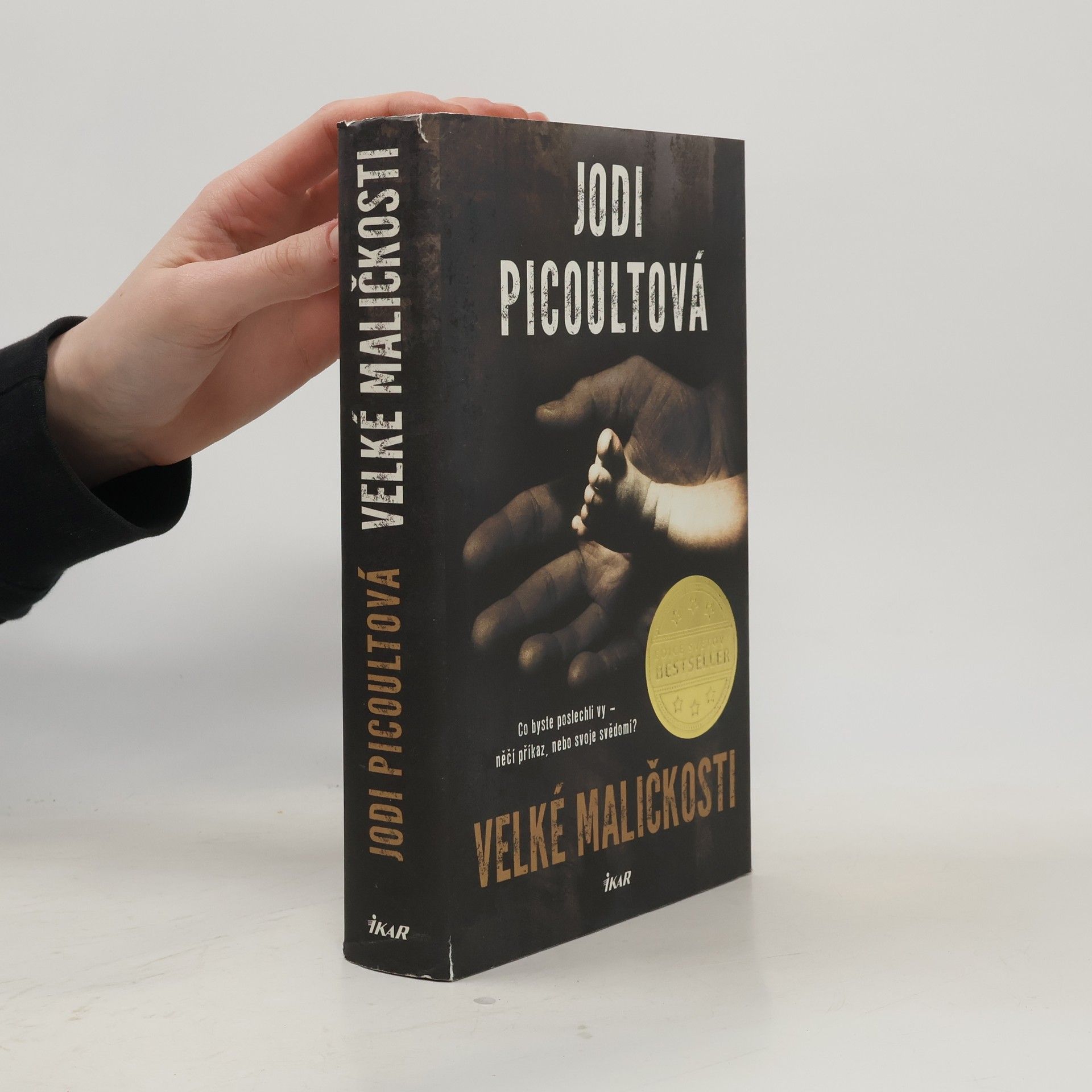 Jodi Picoult Velké maličkosti