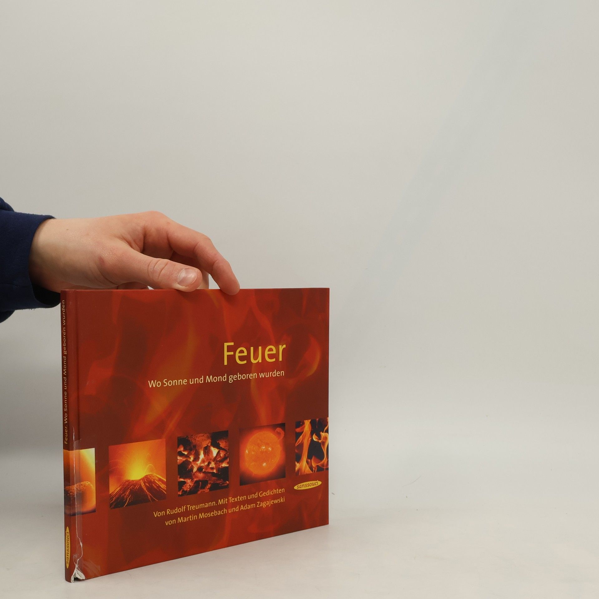 Rudolf Treumann Feuer