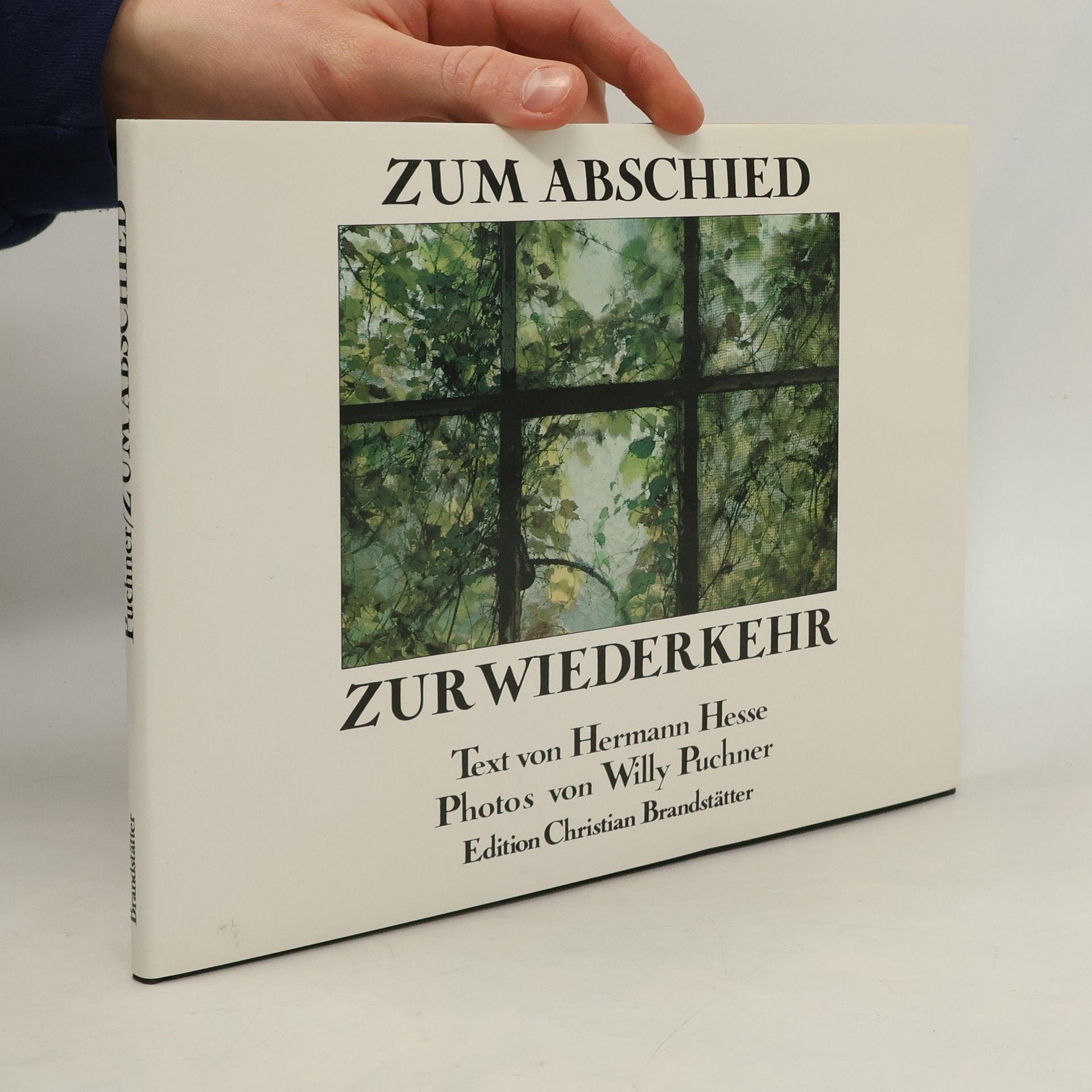 Hermann Hesse Zum Abschied