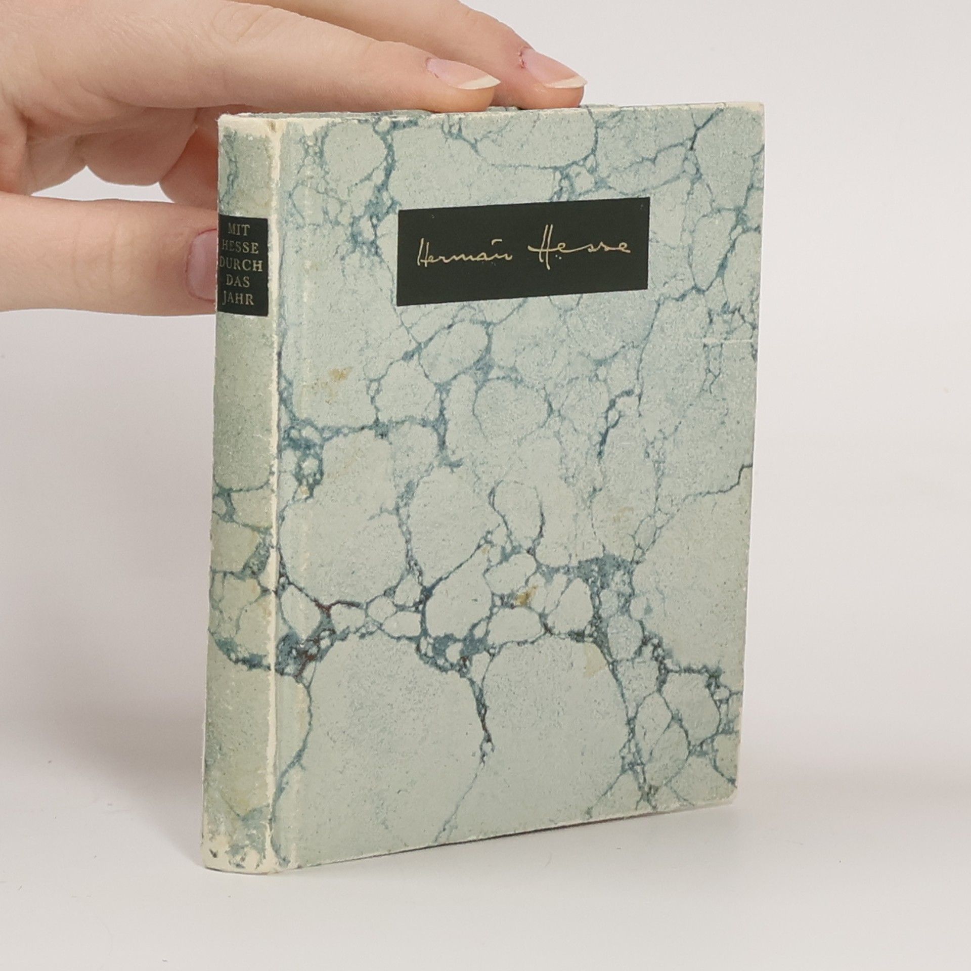 Hermann Hesse Mit Hesse durch das Jahr