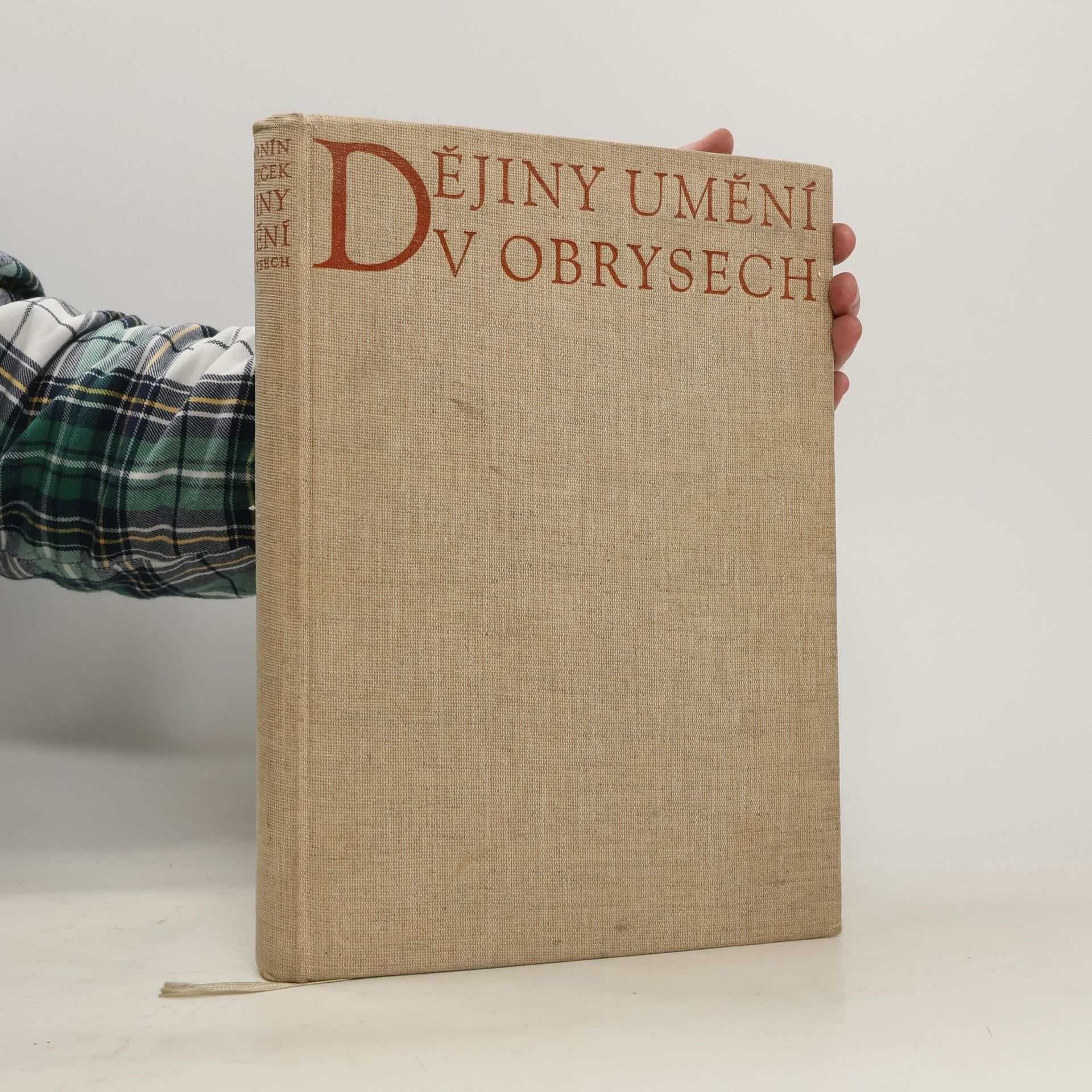 Antonín Matějček Dějiny umění v obrysech