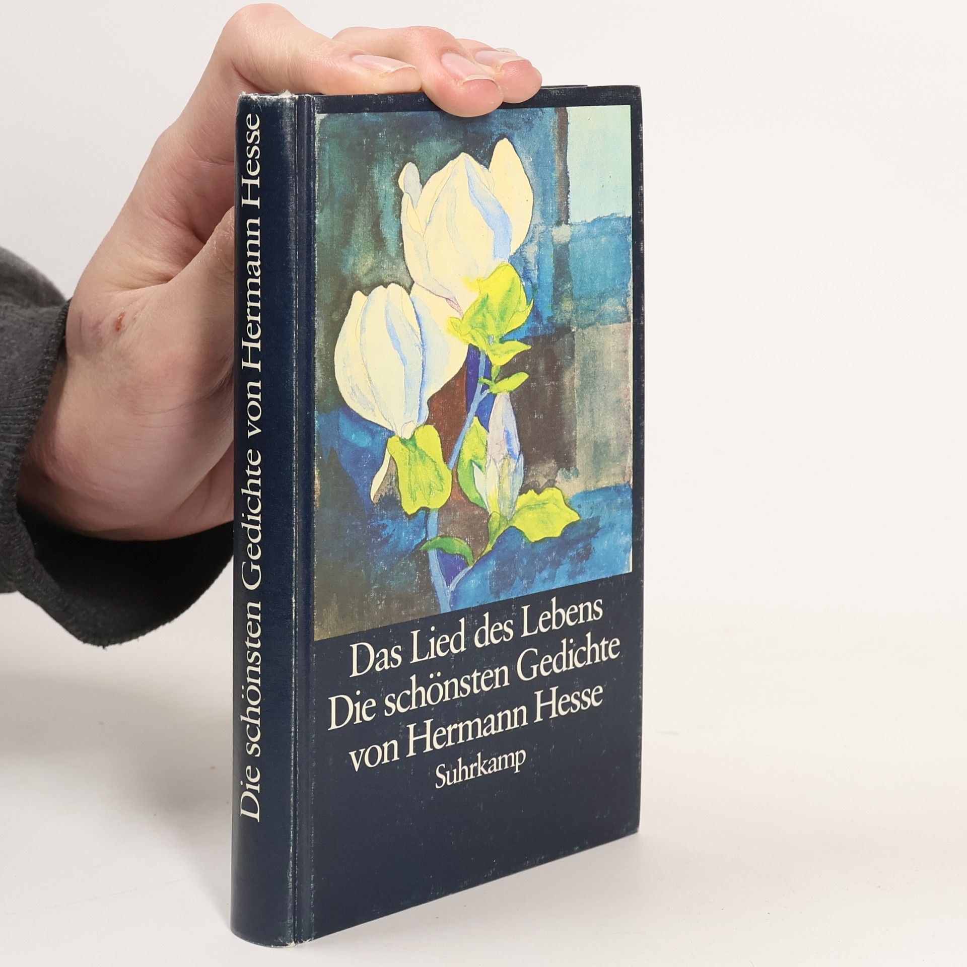 Hermann Hesse Das Lied des Lebens. Die schönsten Gedichte von Hermann Hesse