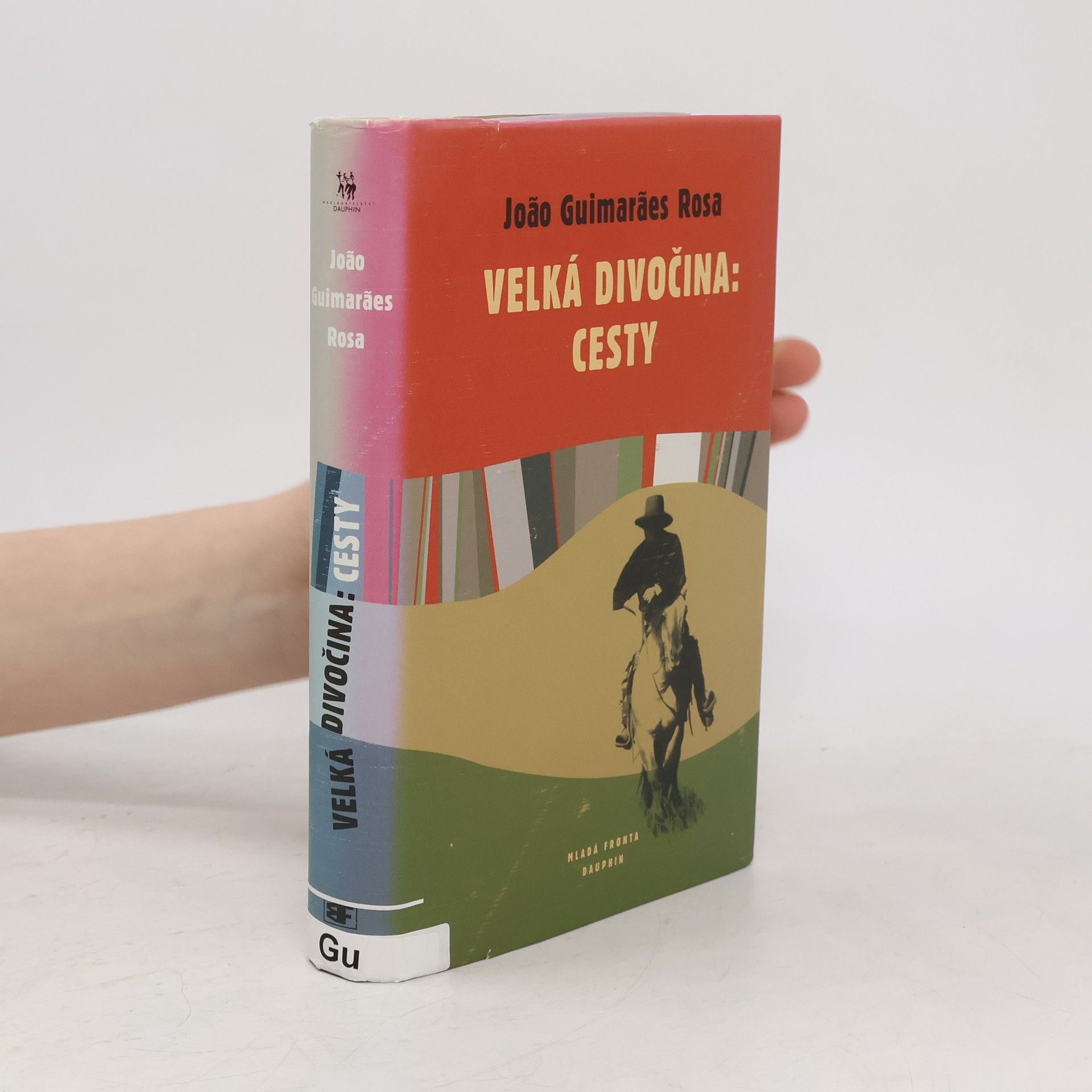 João Guimarães Rosa Velká divočina: Cesty