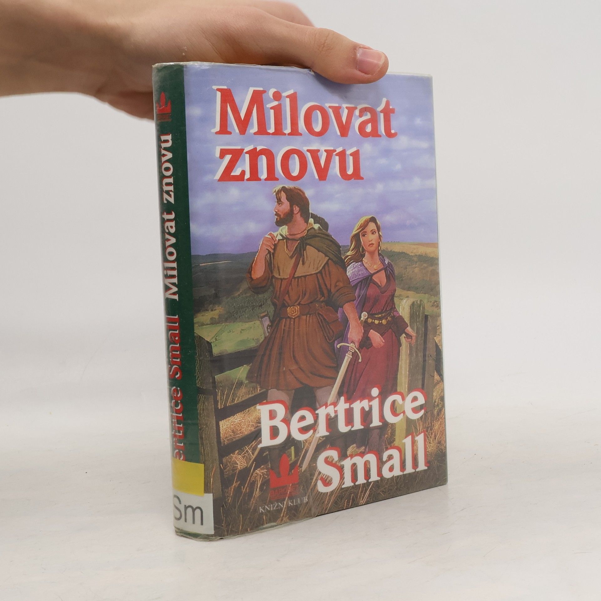 Bertrice Small Milovat znovu
