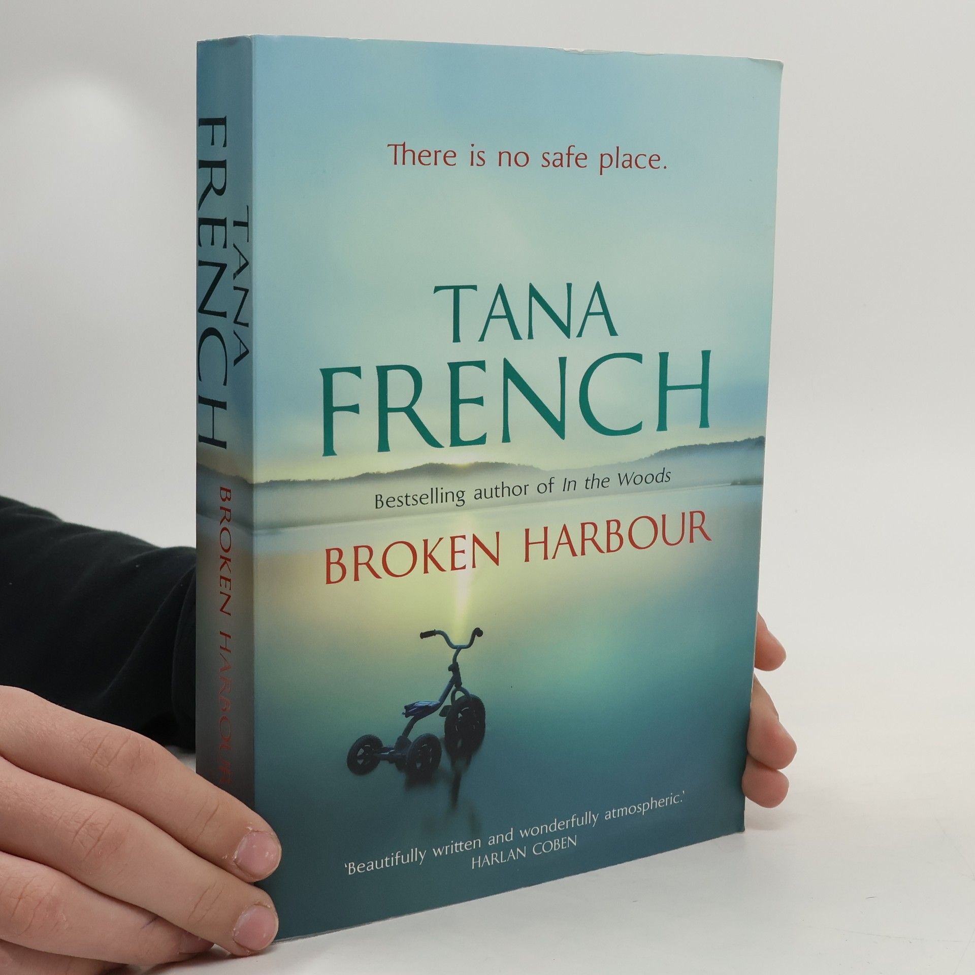 Tana French Broken Harbour