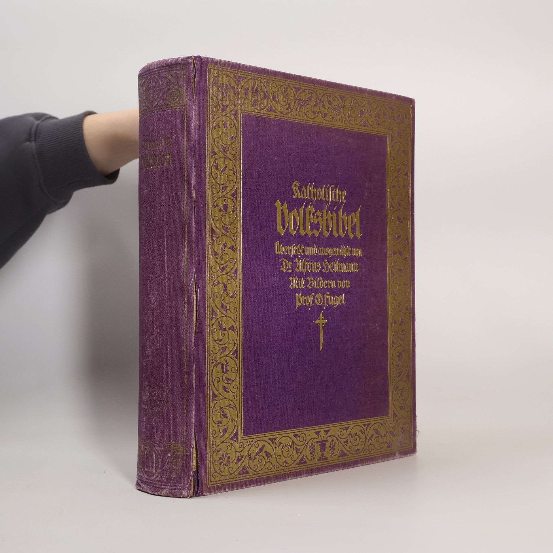 Autorenkollektiv Katholische Volksbibel