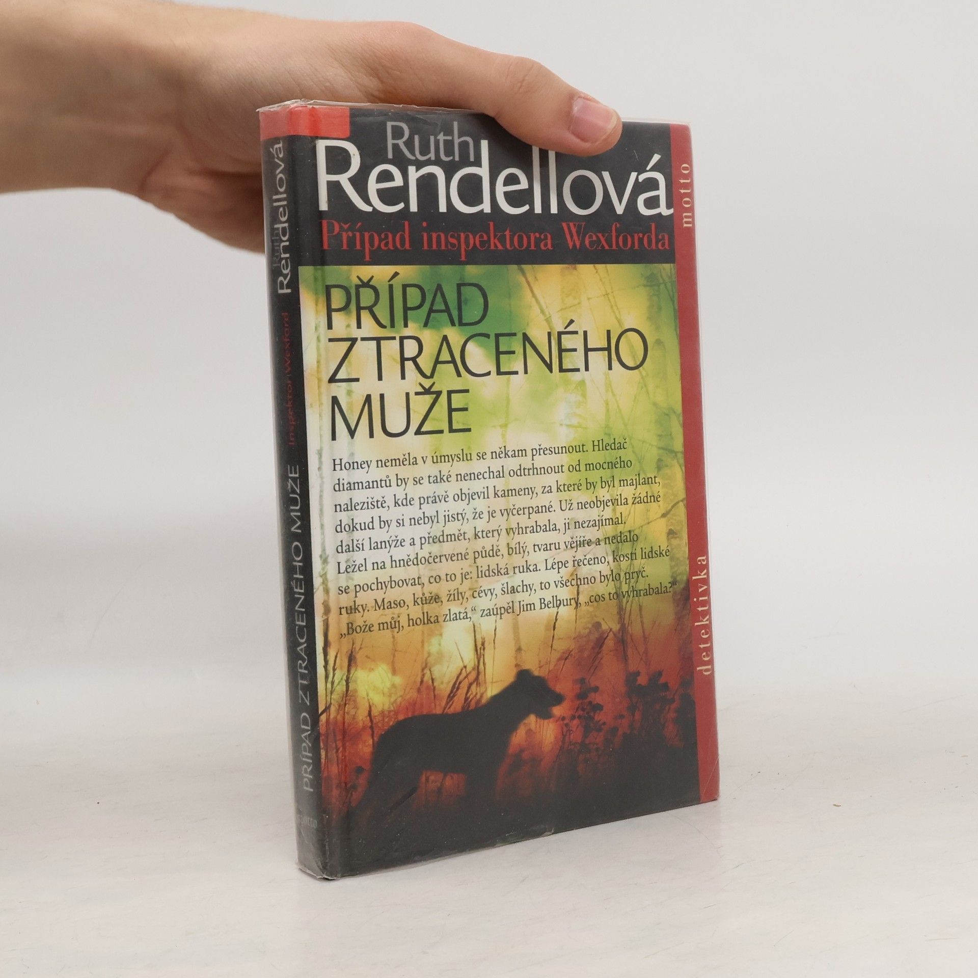 Ruth Rendell Případ ztraceného muže