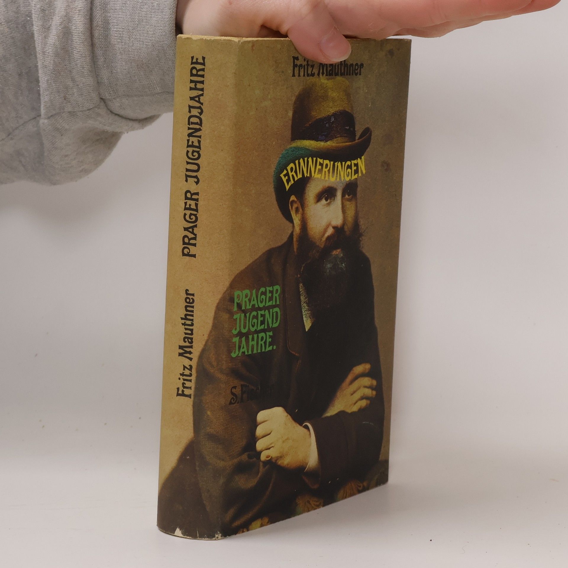 Fritz Mauthner Erinnerungen