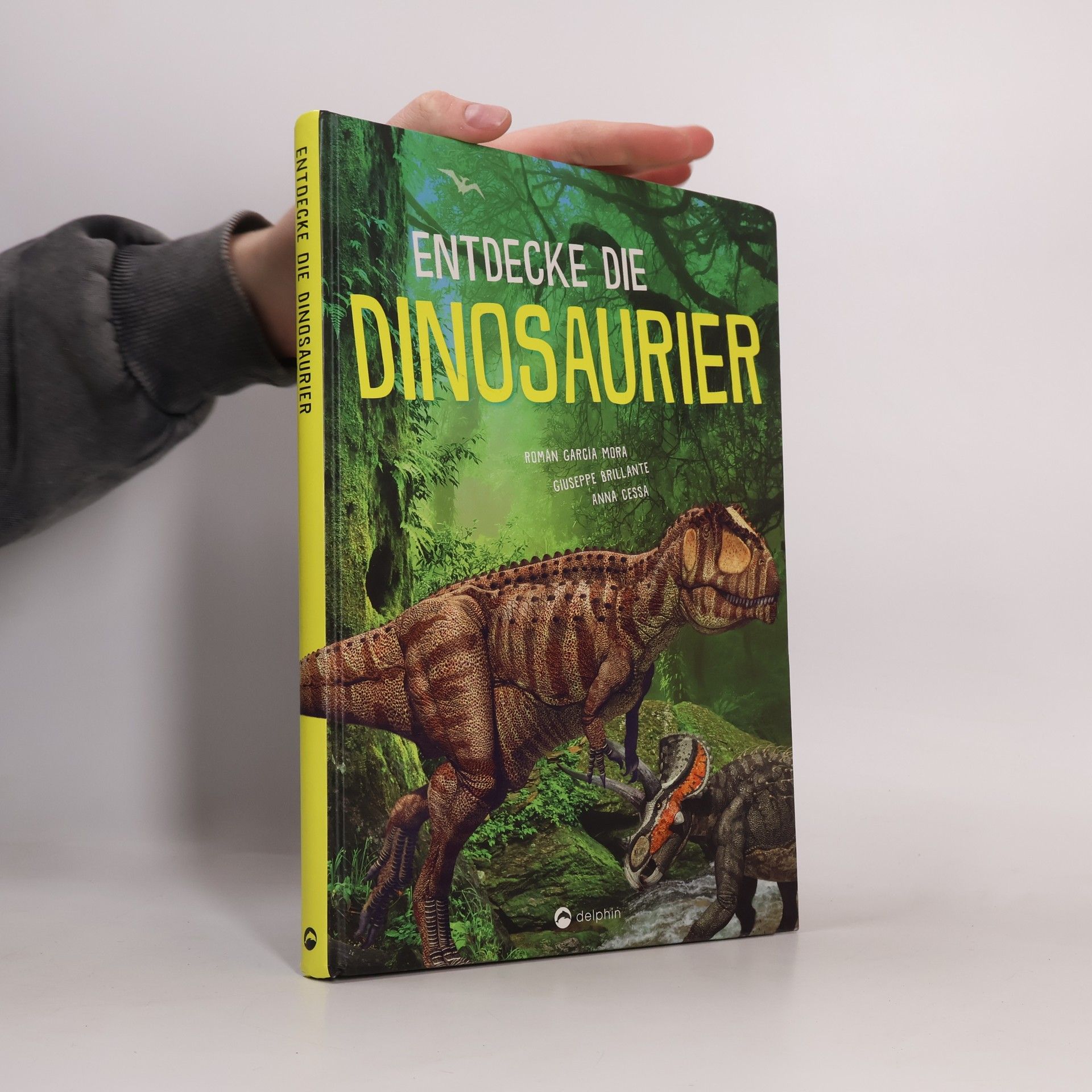 Román García Mora Entdecke die Dinosaurier