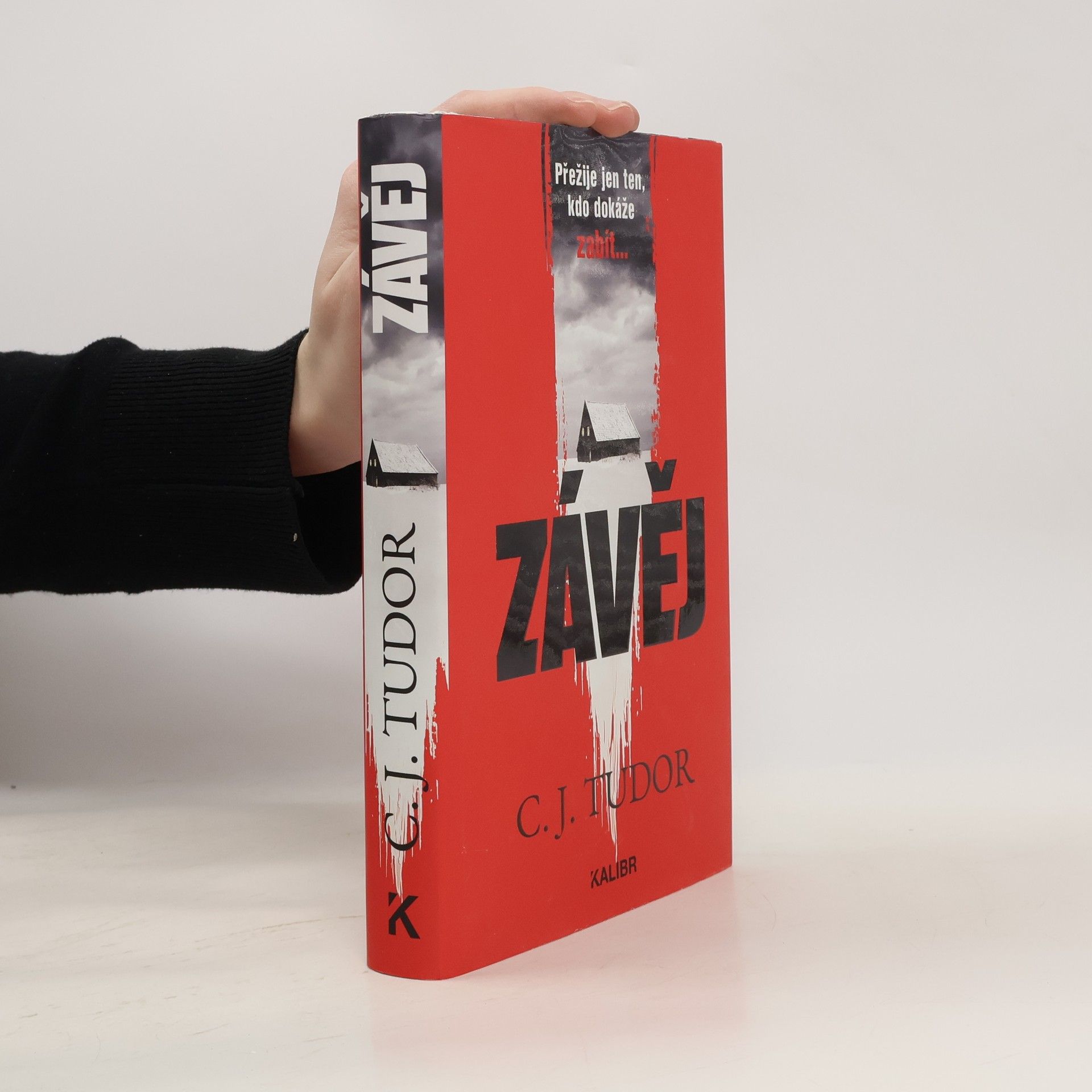 Jana Kunová Závěj